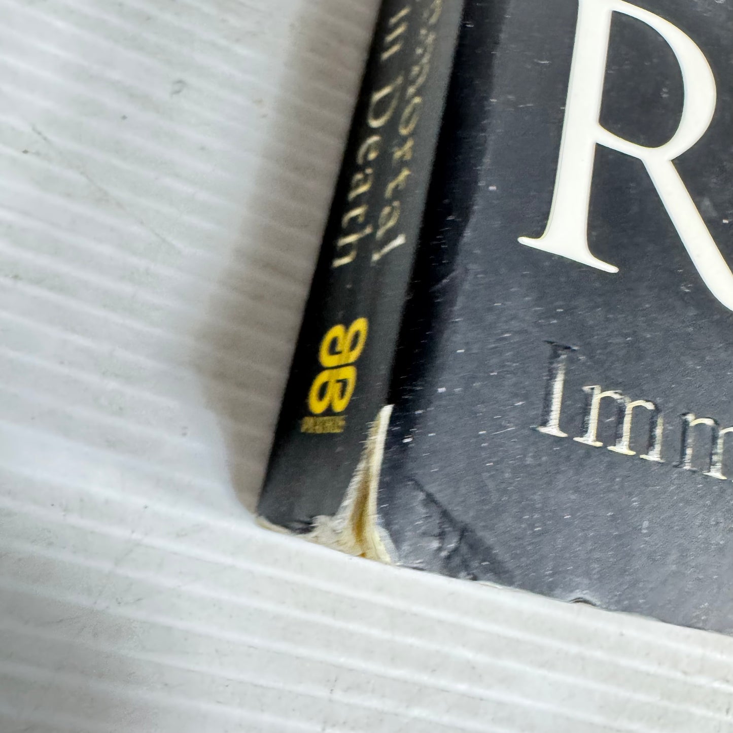 Immortal in Death - Nora Roberts as J. D. Robb