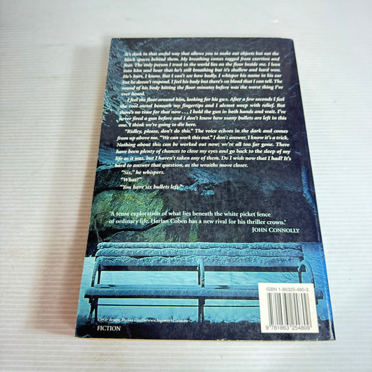 Beautiful Lies - Lisa Unger