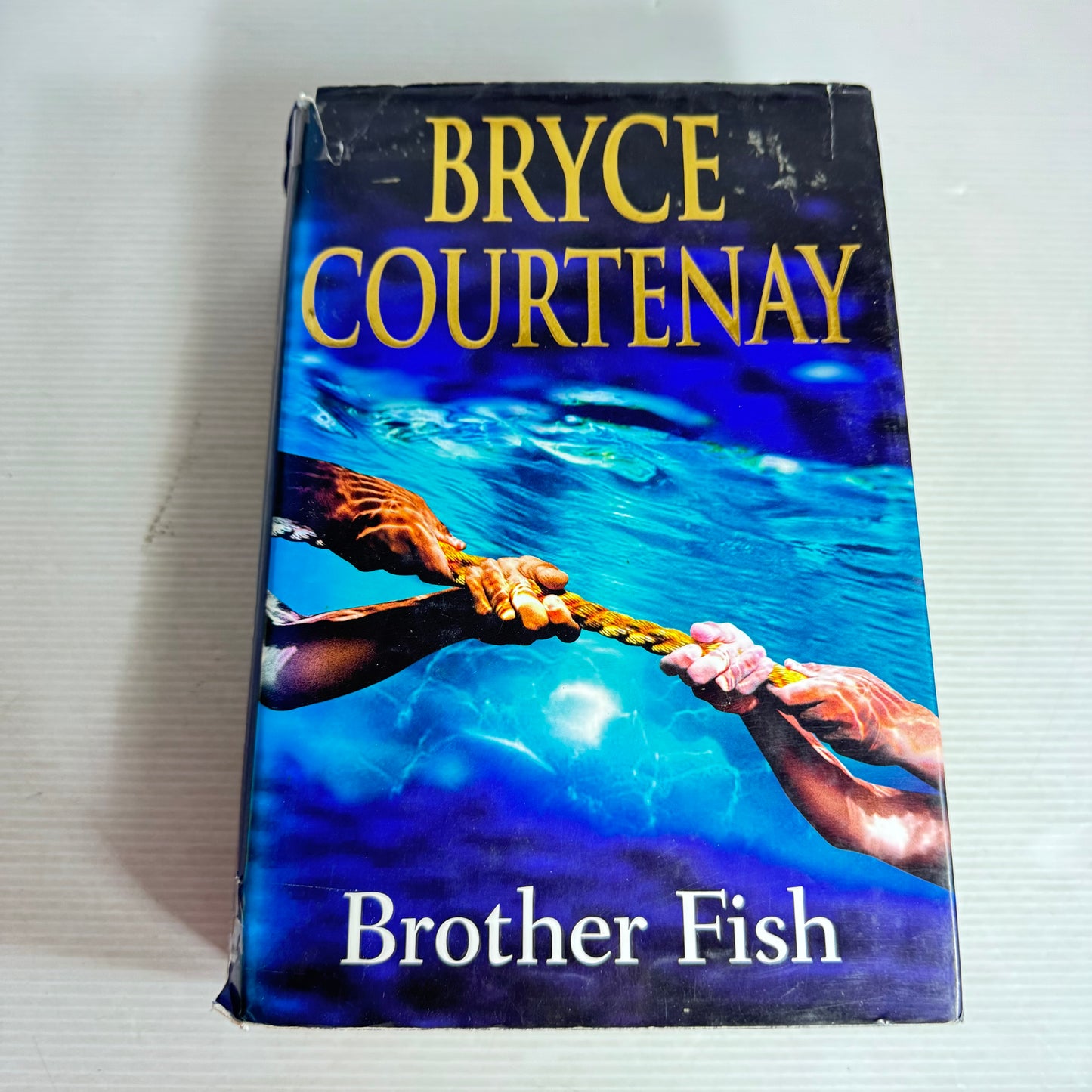 Brother Fish - Bryce Courtenay