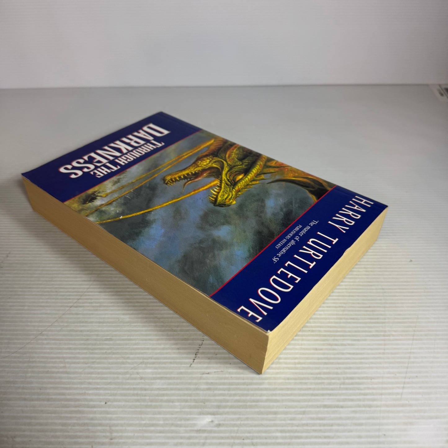Through The Darkness - Harry Turtledove