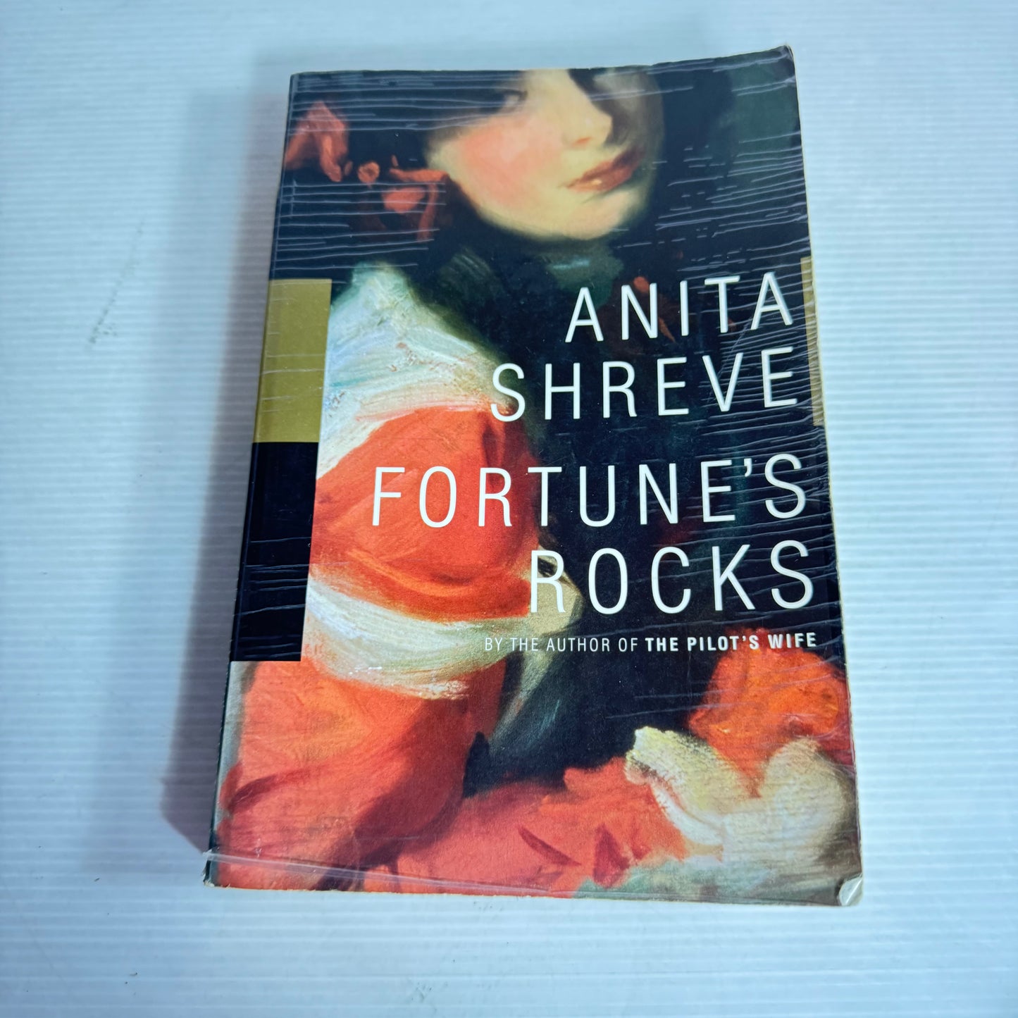 Fortune's Rocks - Anita Shreve
