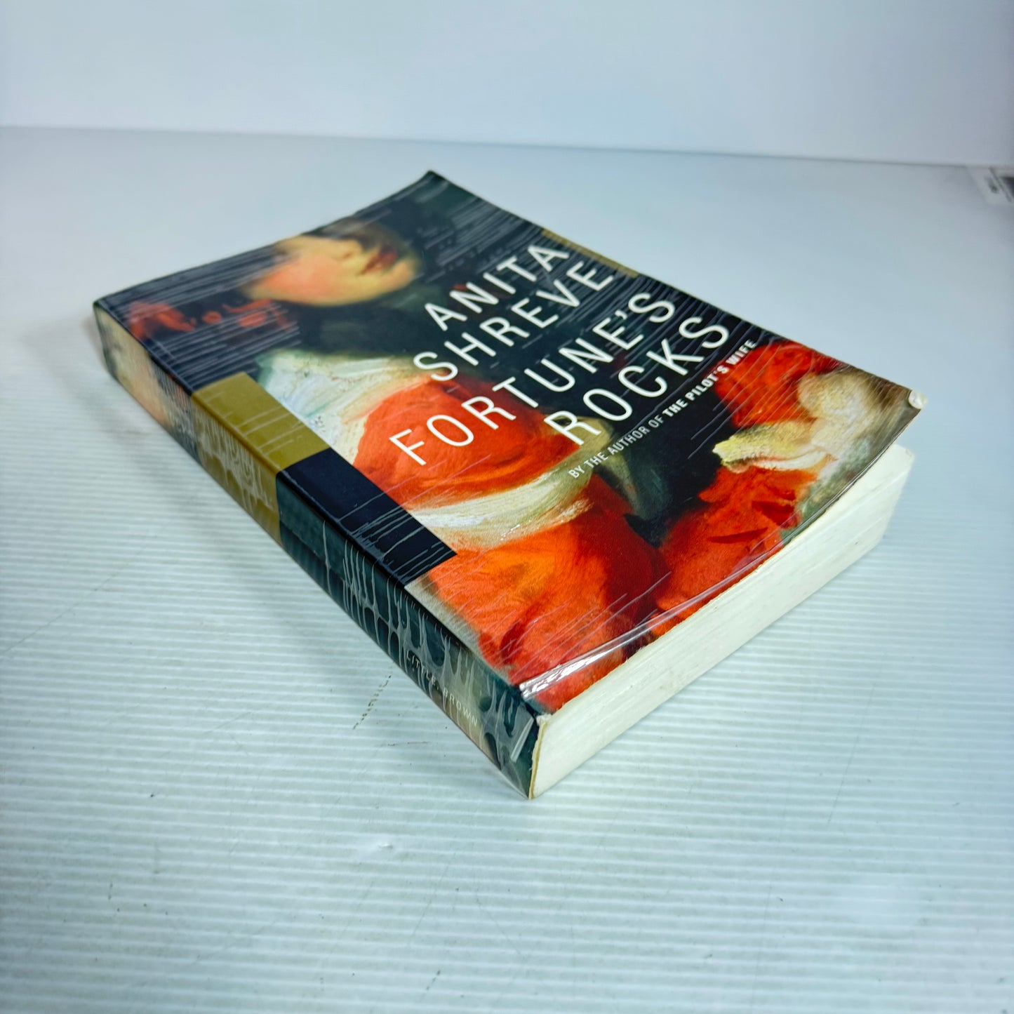 Fortune's Rocks - Anita Shreve