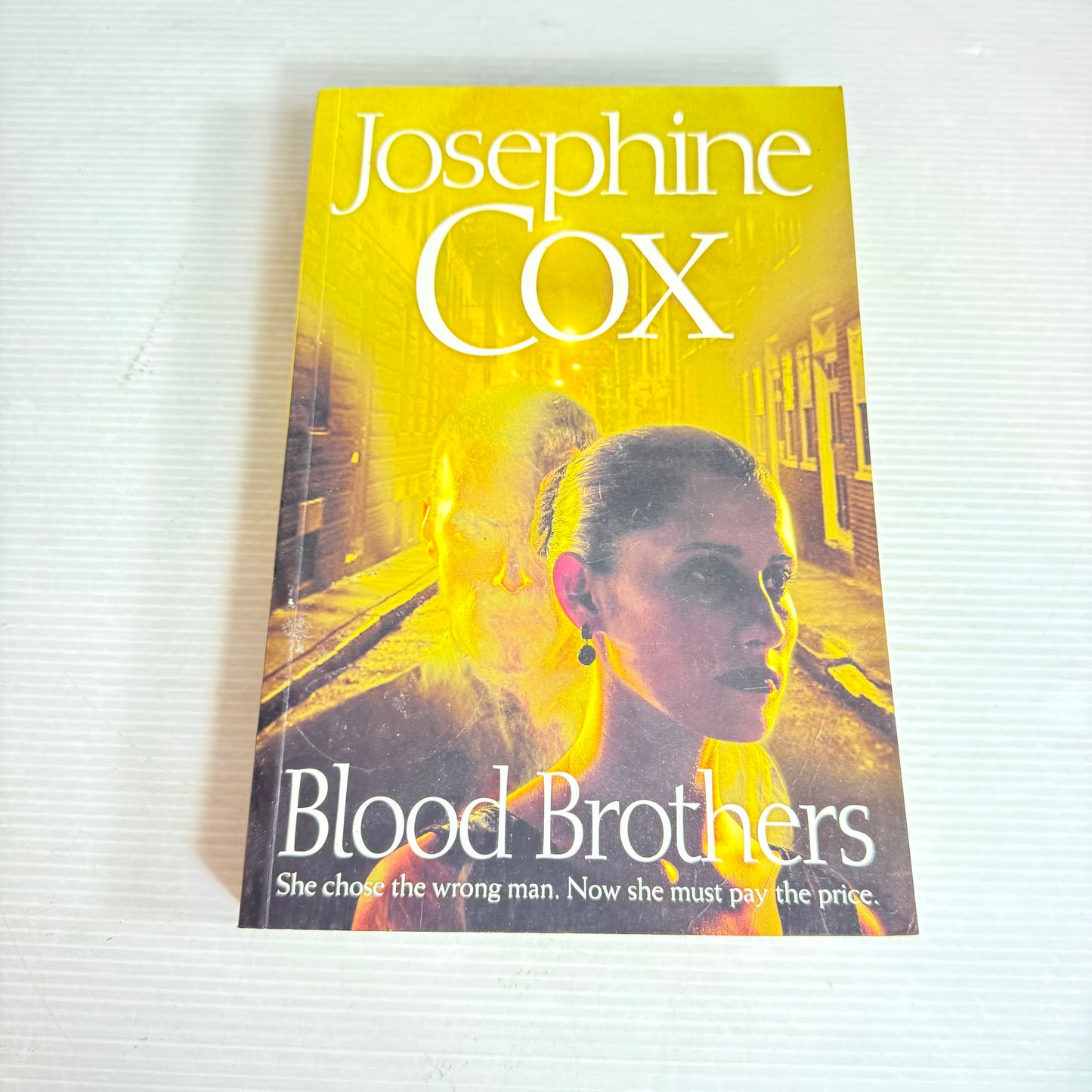 Blood Brothers - Josephine Cox