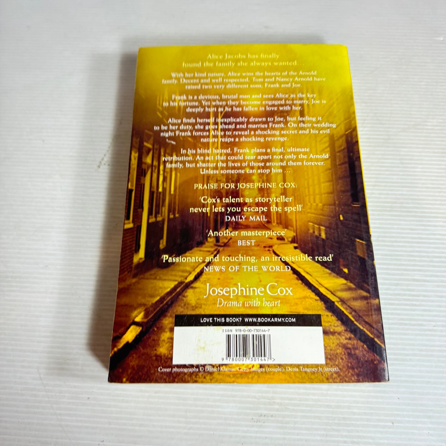 Blood Brothers - Josephine Cox