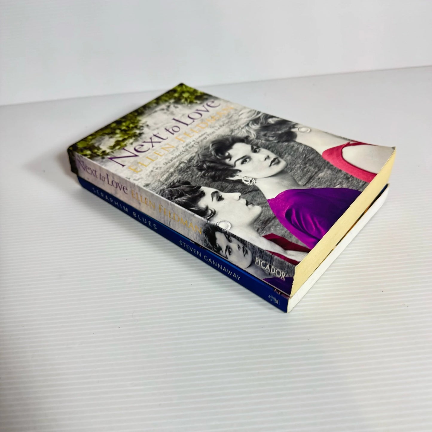 Fiction Book Bundle x 2 Books : Seraphim Blues - Steven Cannaway & Next to Love Ellen Feldman (2145)