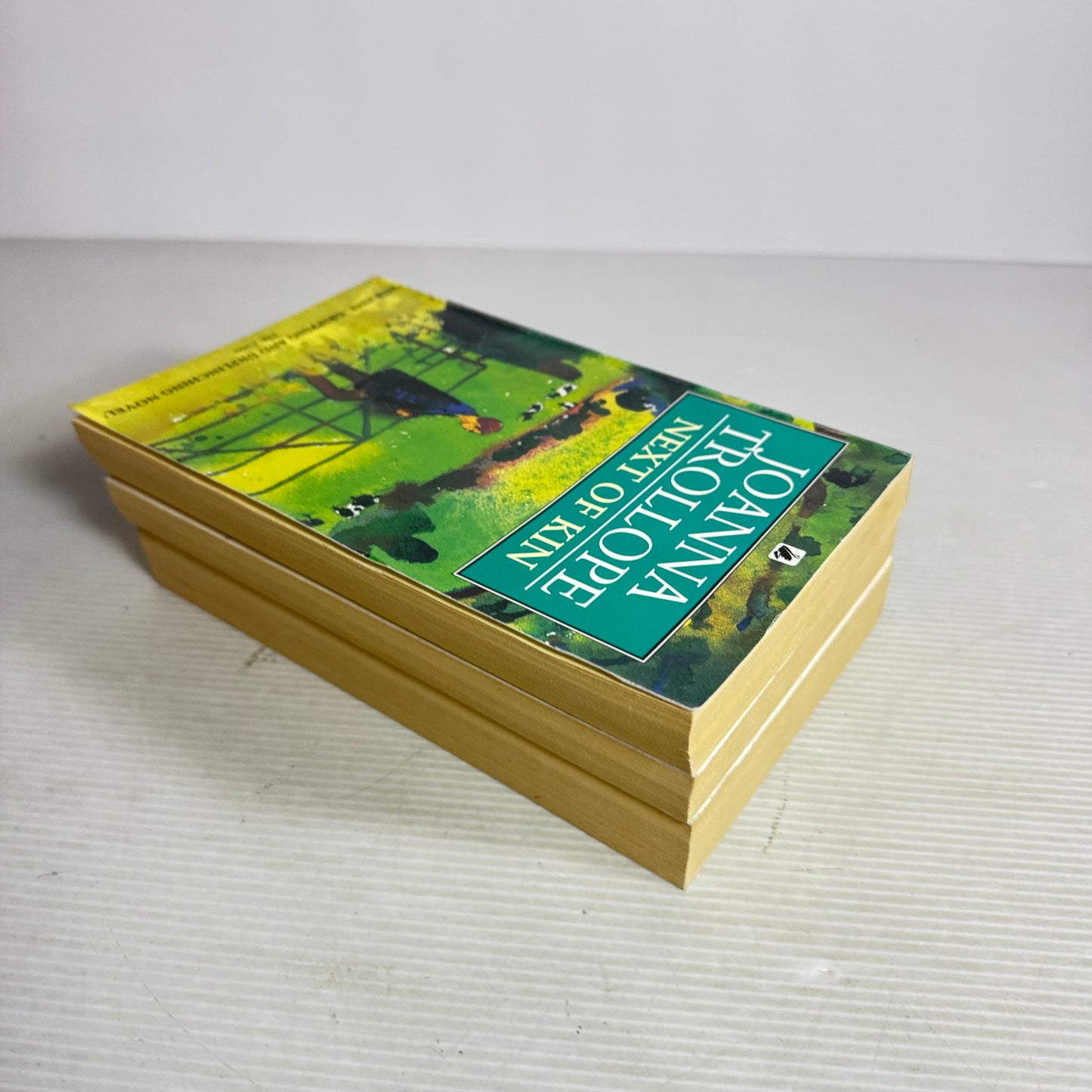 Joanna Trollope Book Bundle x 3 : Next of Kin, A Village Affair, A Spanish Lover (2988)