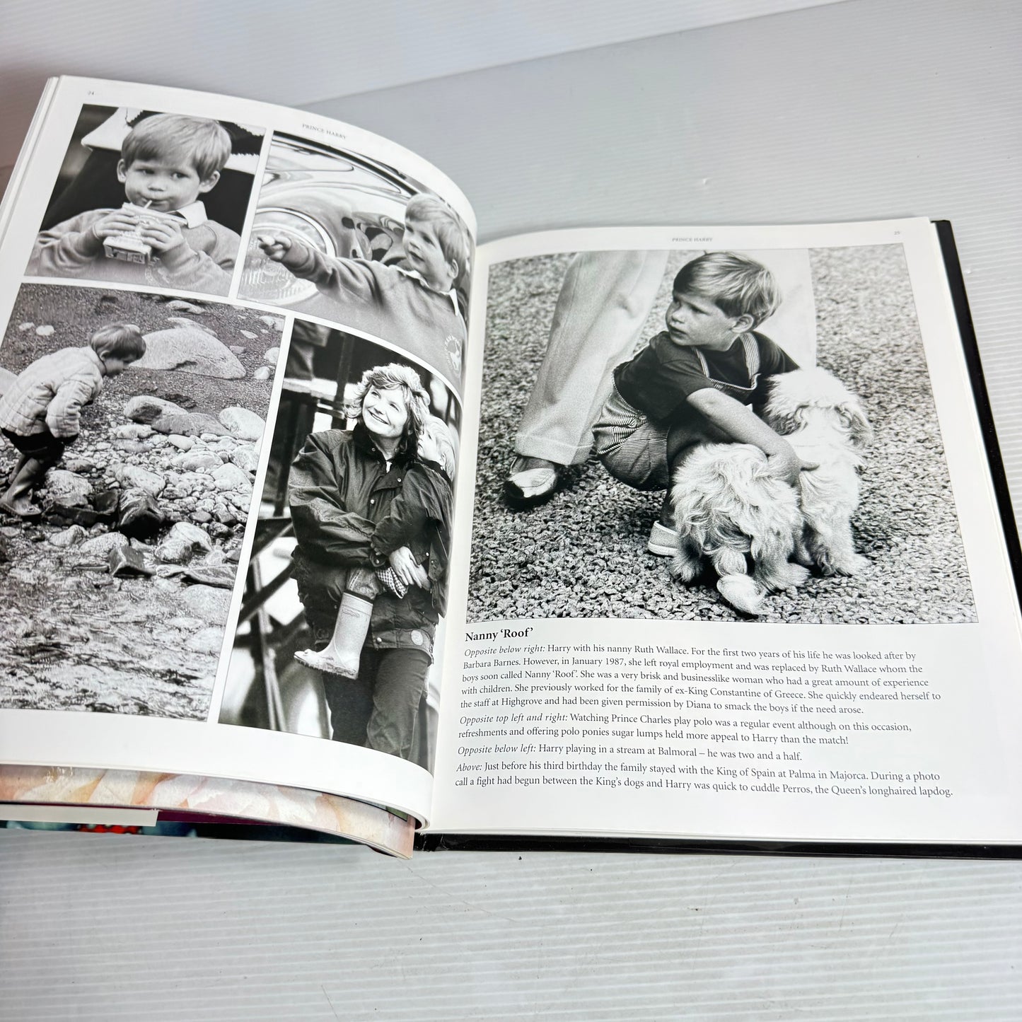 Royal Family Book Bundle x 3 : Prince Harry - Alison Gauntlett, Diana Remembered 1961-1997, Diana Princes of Wales : A Tribute - Tim Graham(2916)