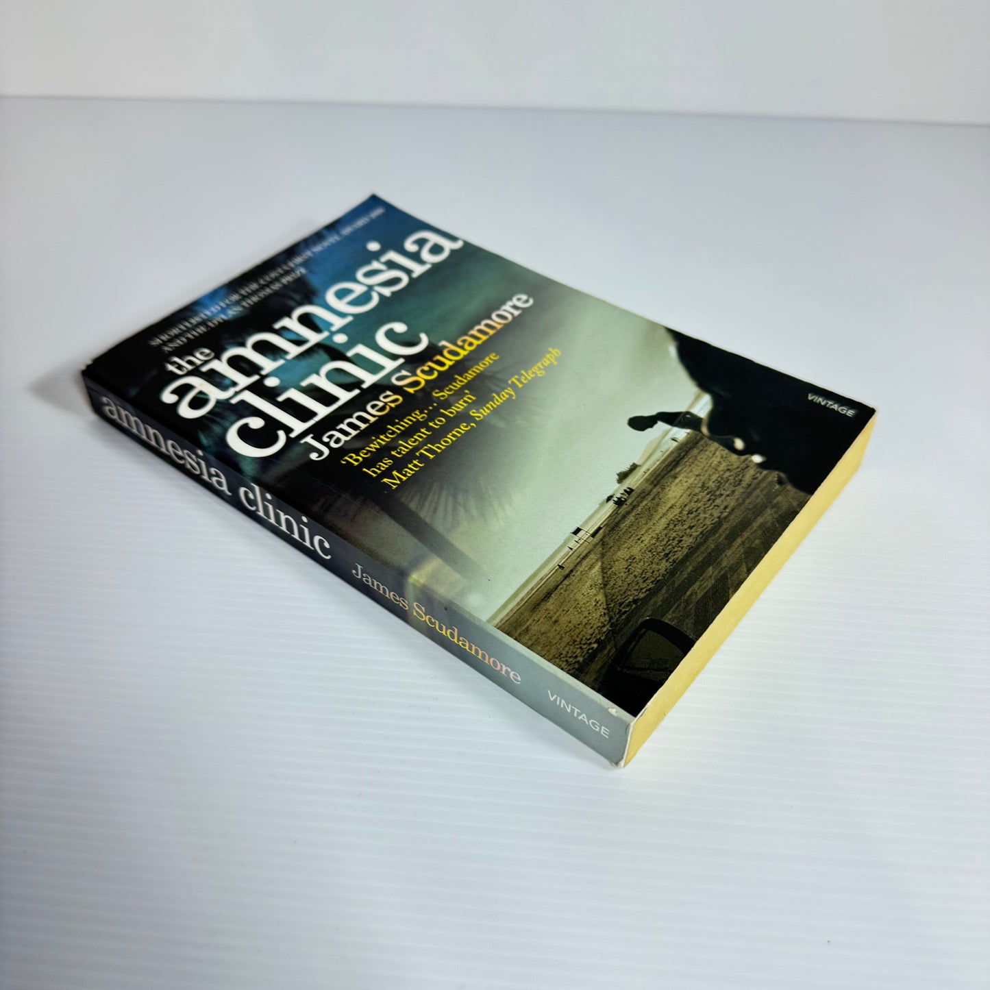 The Amnesia Clinic - James Scudamore
