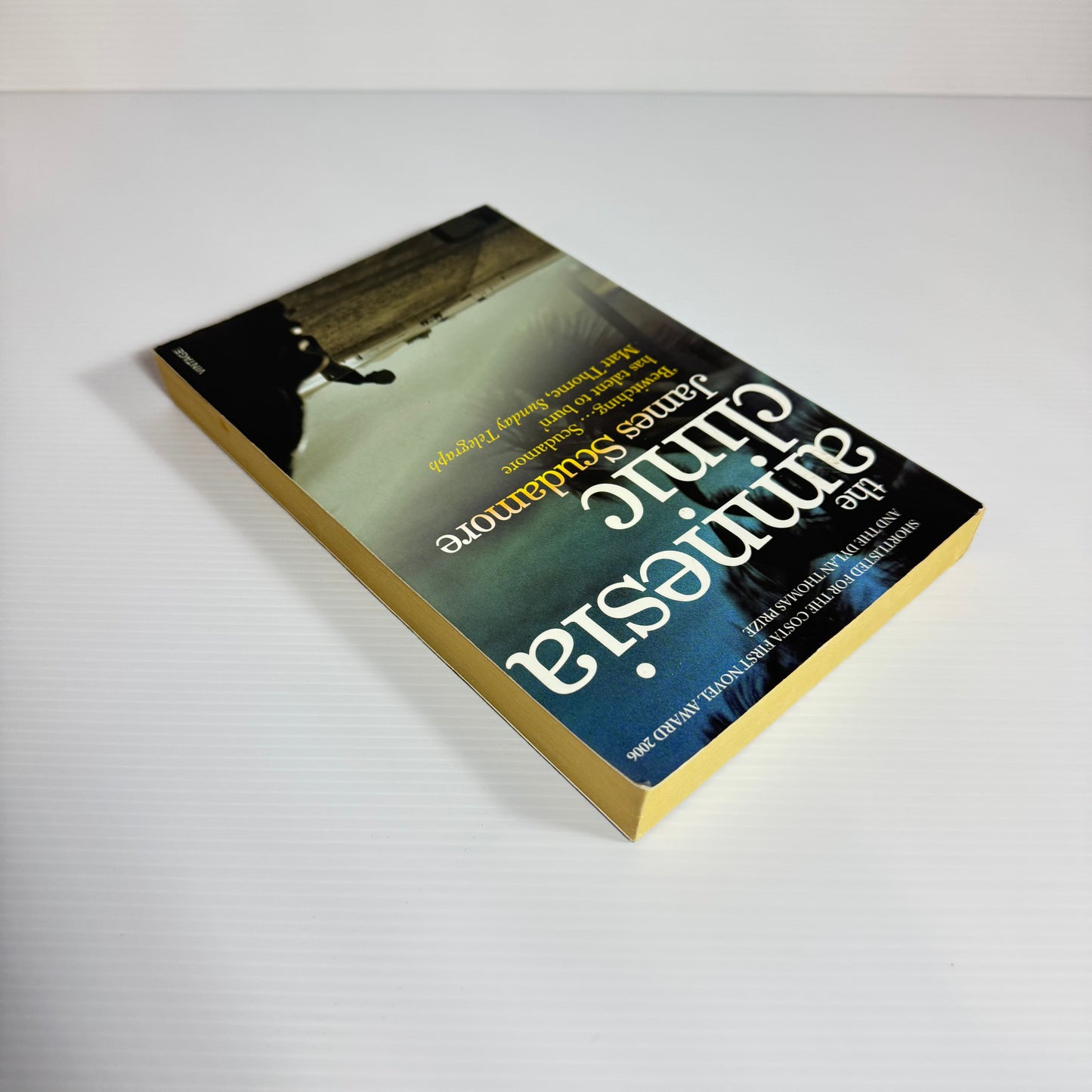 The Amnesia Clinic - James Scudamore