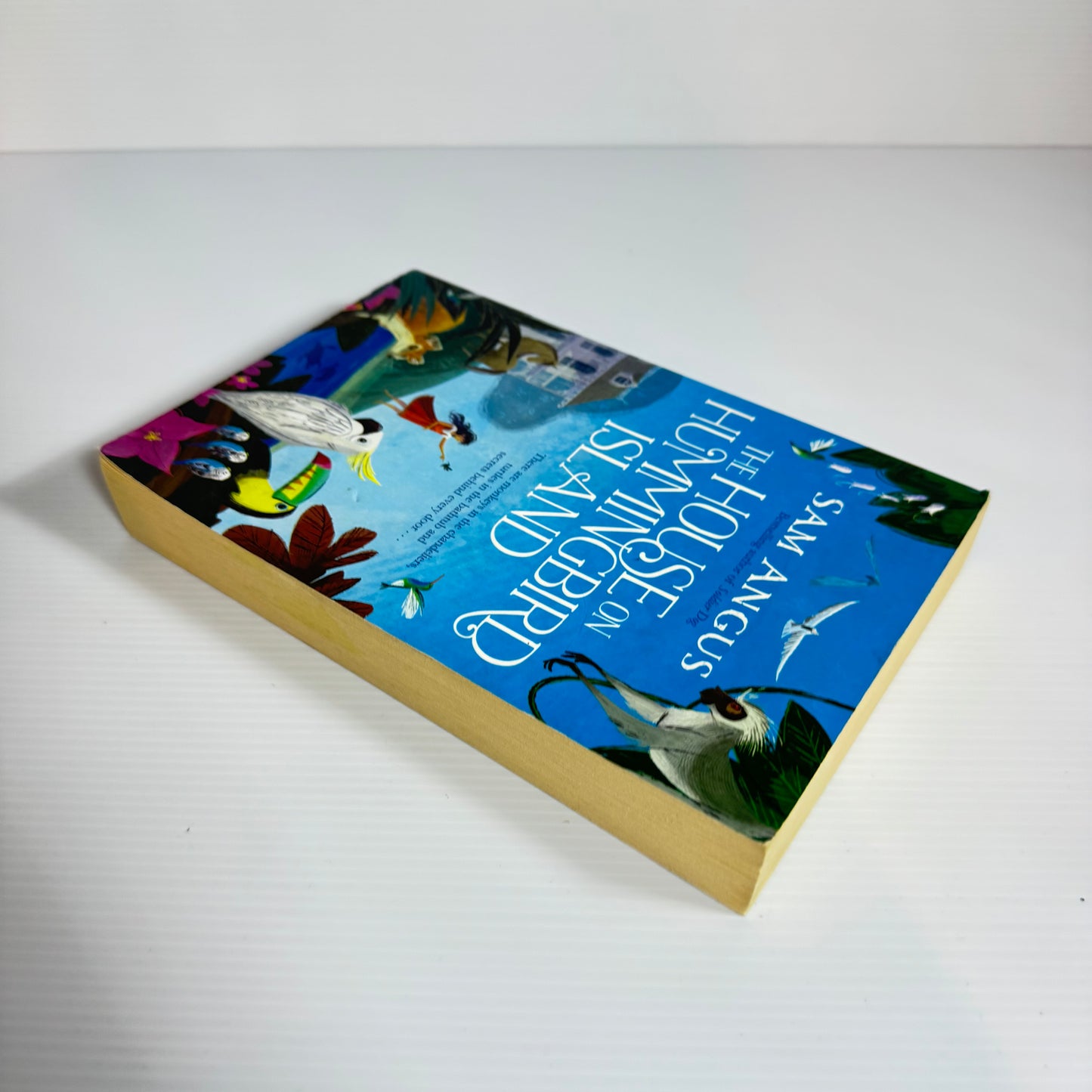 The House on Hummingbird Island - Sam Angus