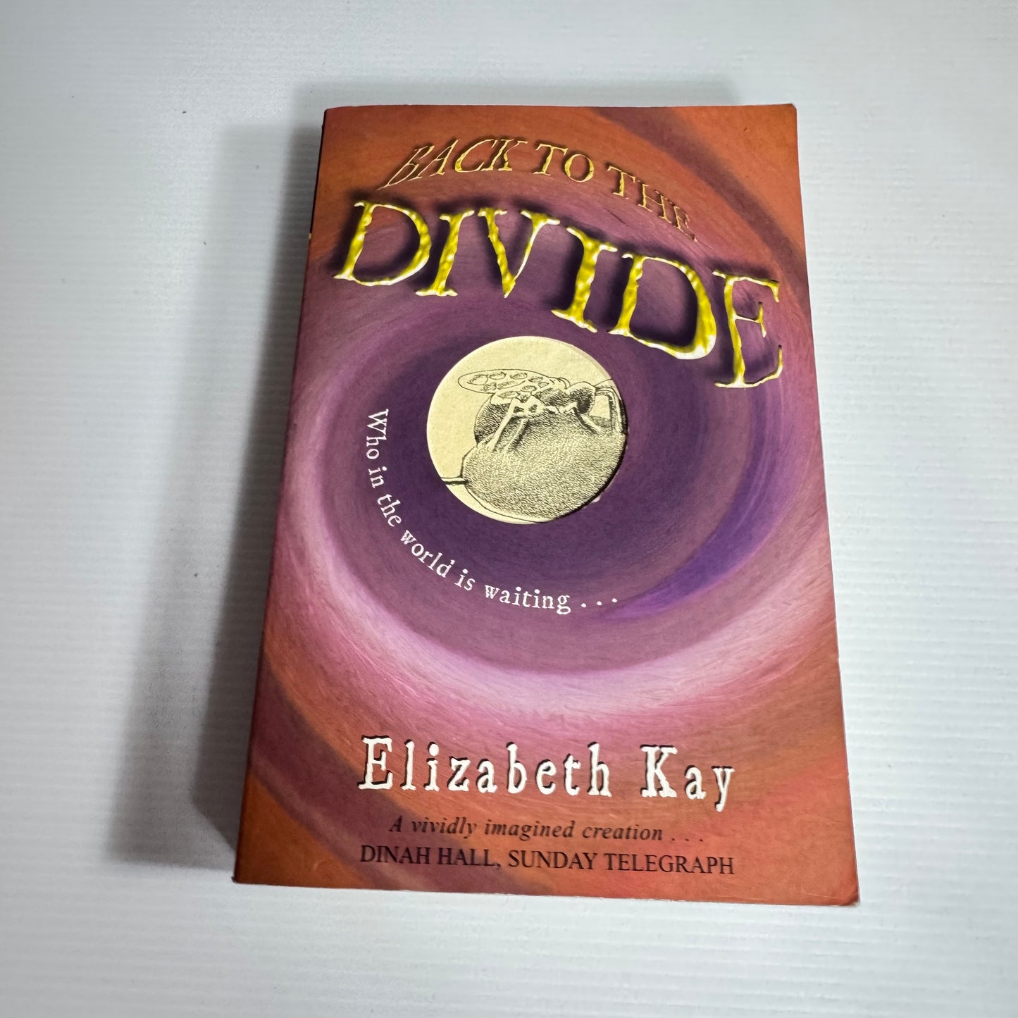 Back To The Divide - Elizabeth Kay