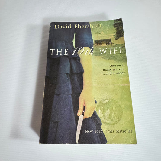 The 19th Wife - David Ebershoff