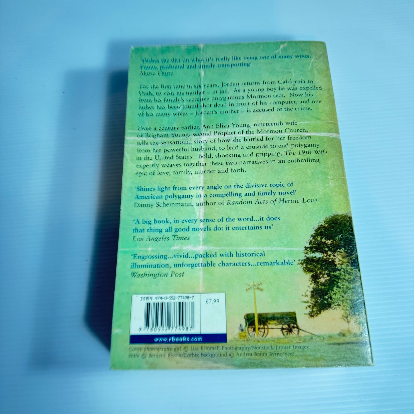 The 19th Wife - David Ebershoff