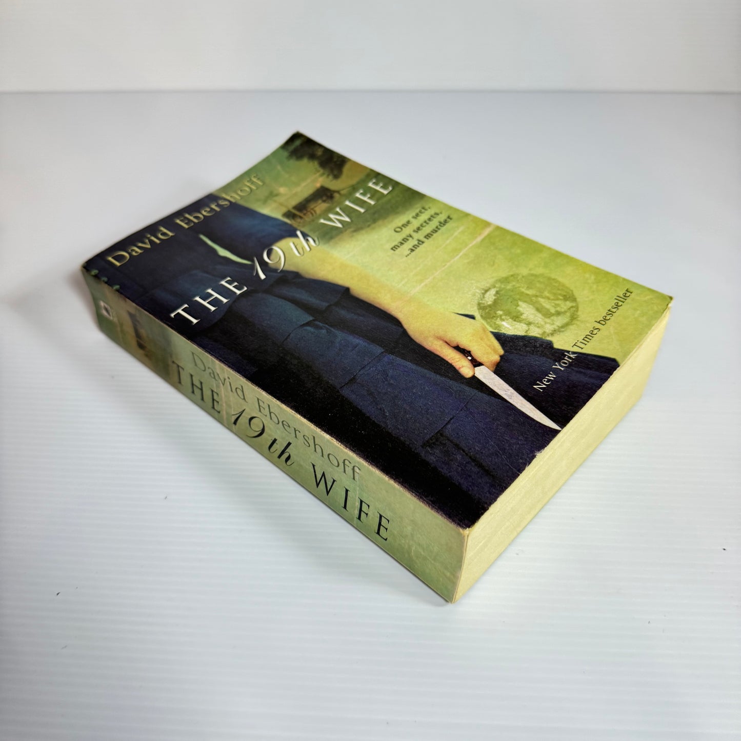 The 19th Wife - David Ebershoff