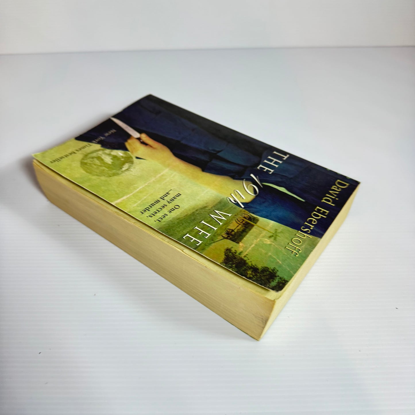 The 19th Wife - David Ebershoff