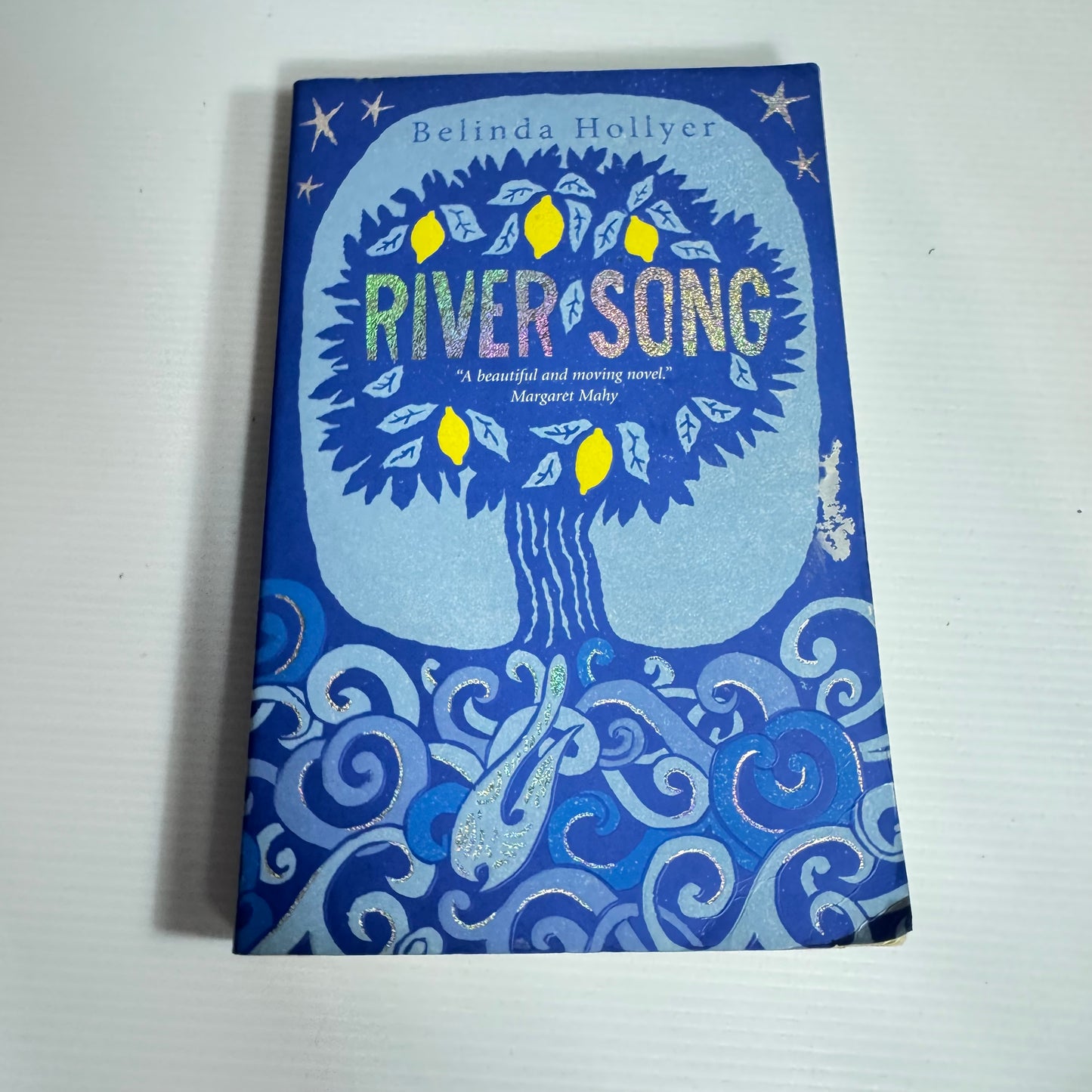 River Song - Belinda Hollyer