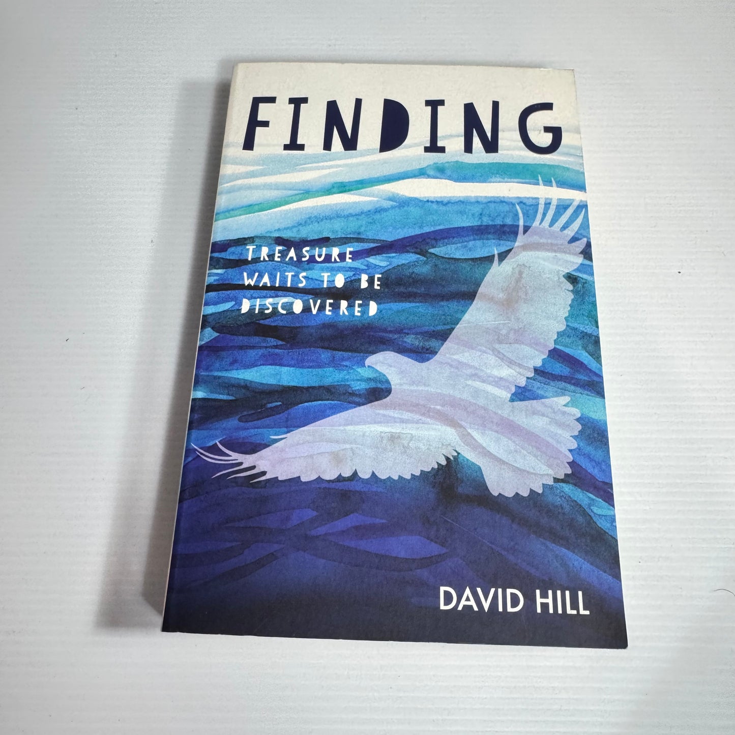 Finding : Treasure Waits To Be Discovered - David Hill