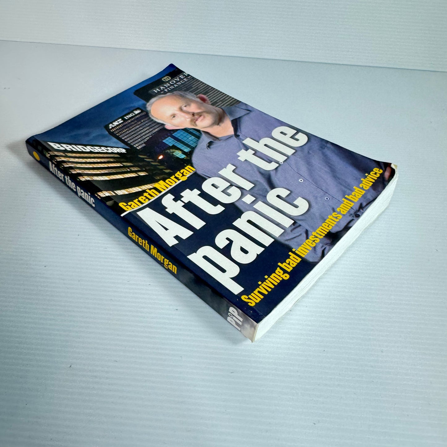 After The Panic - Gareth Morgan9