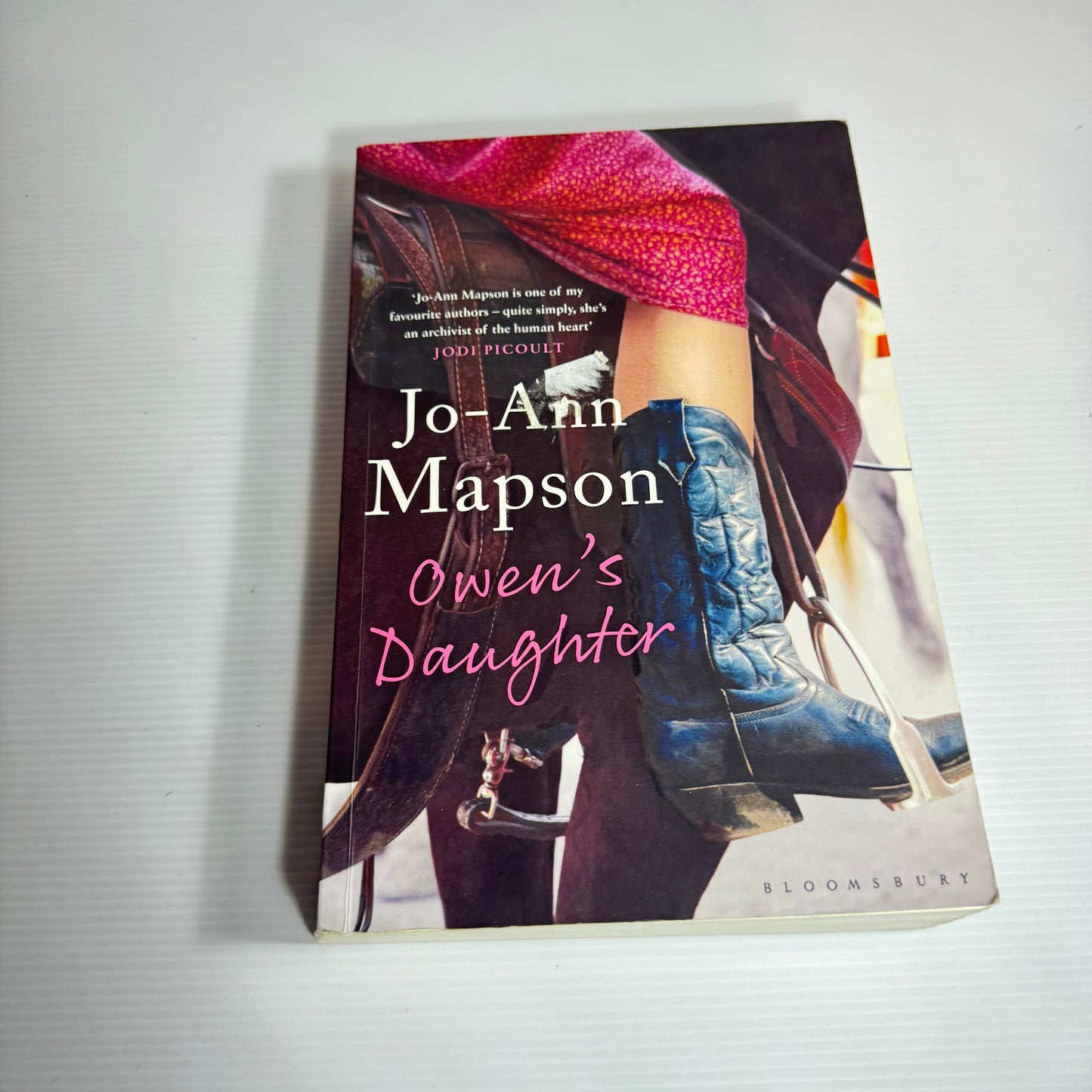 Owen's Daughter - Jo-Ann Mapson