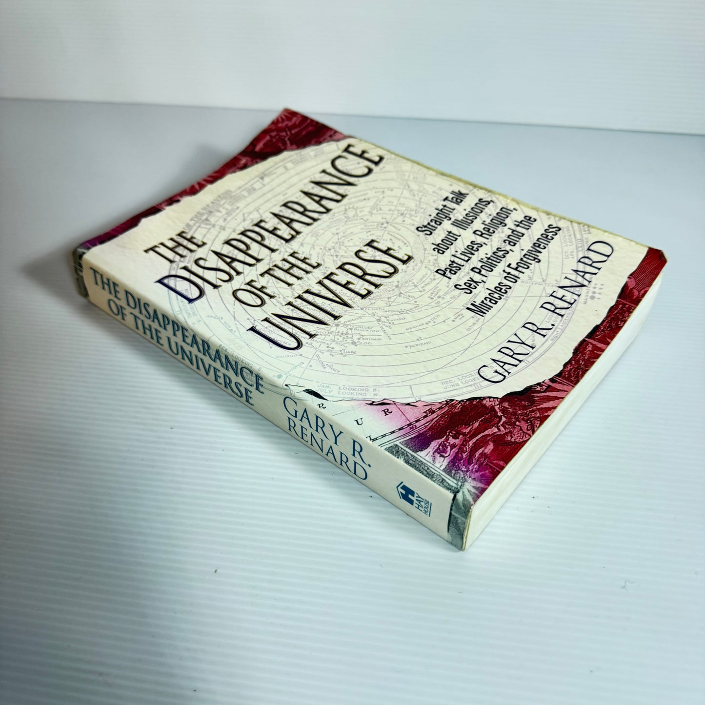 The Disappearance Of The Universe - Gary R. Renard