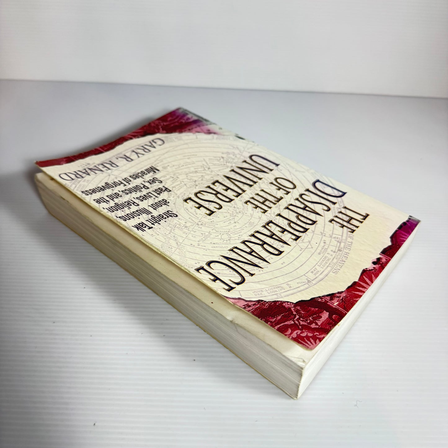 The Disappearance Of The Universe - Gary R. Renard