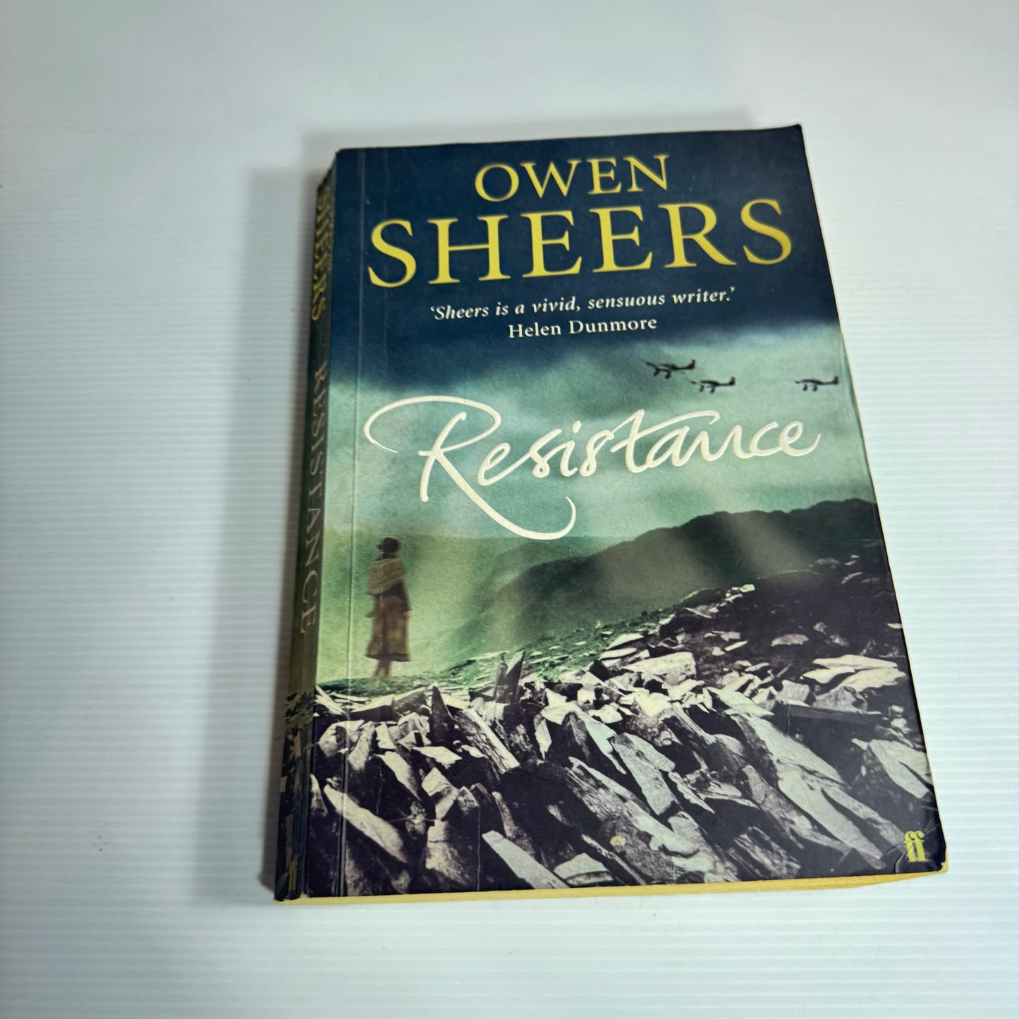 Resistance - Owen Sheers