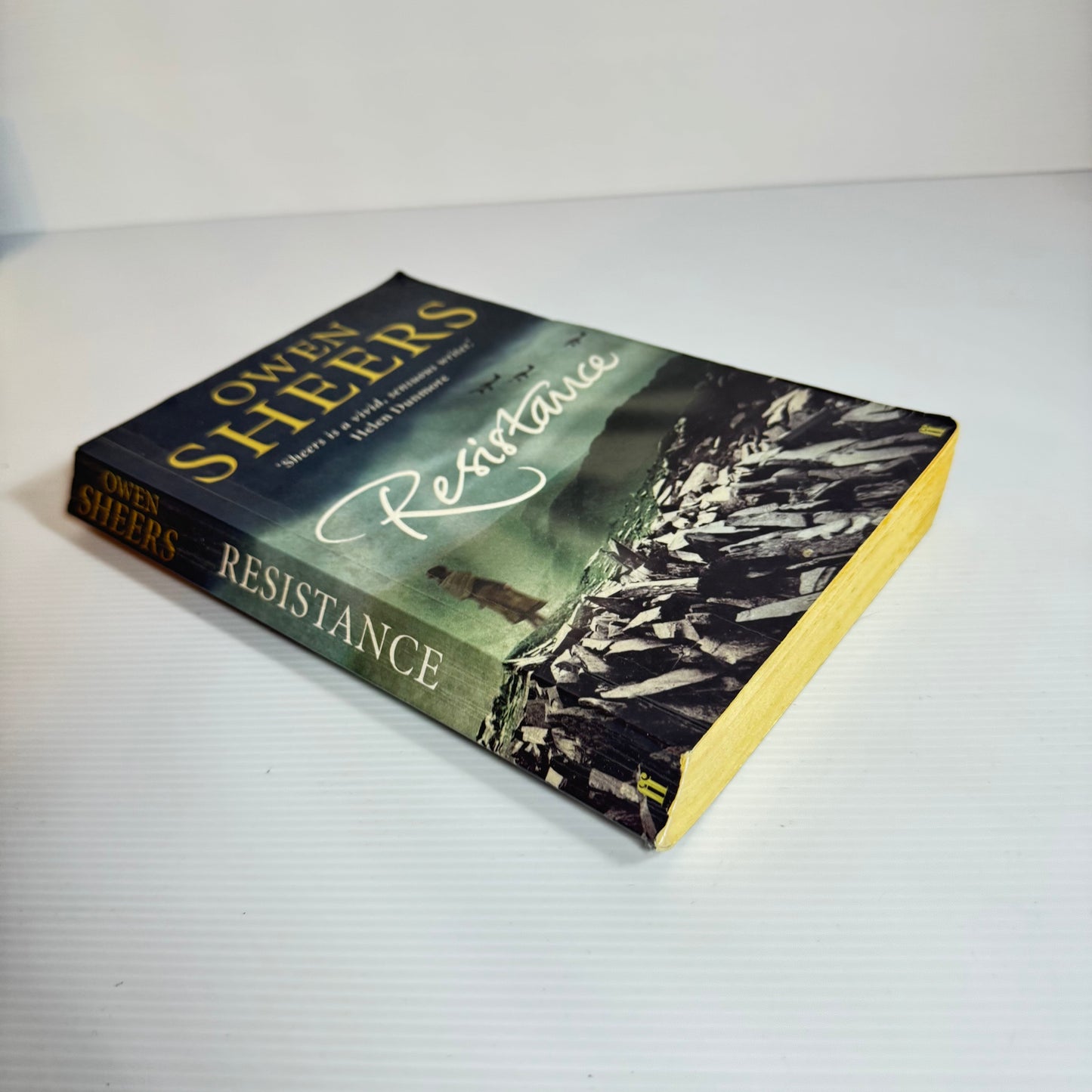 Resistance - Owen Sheers