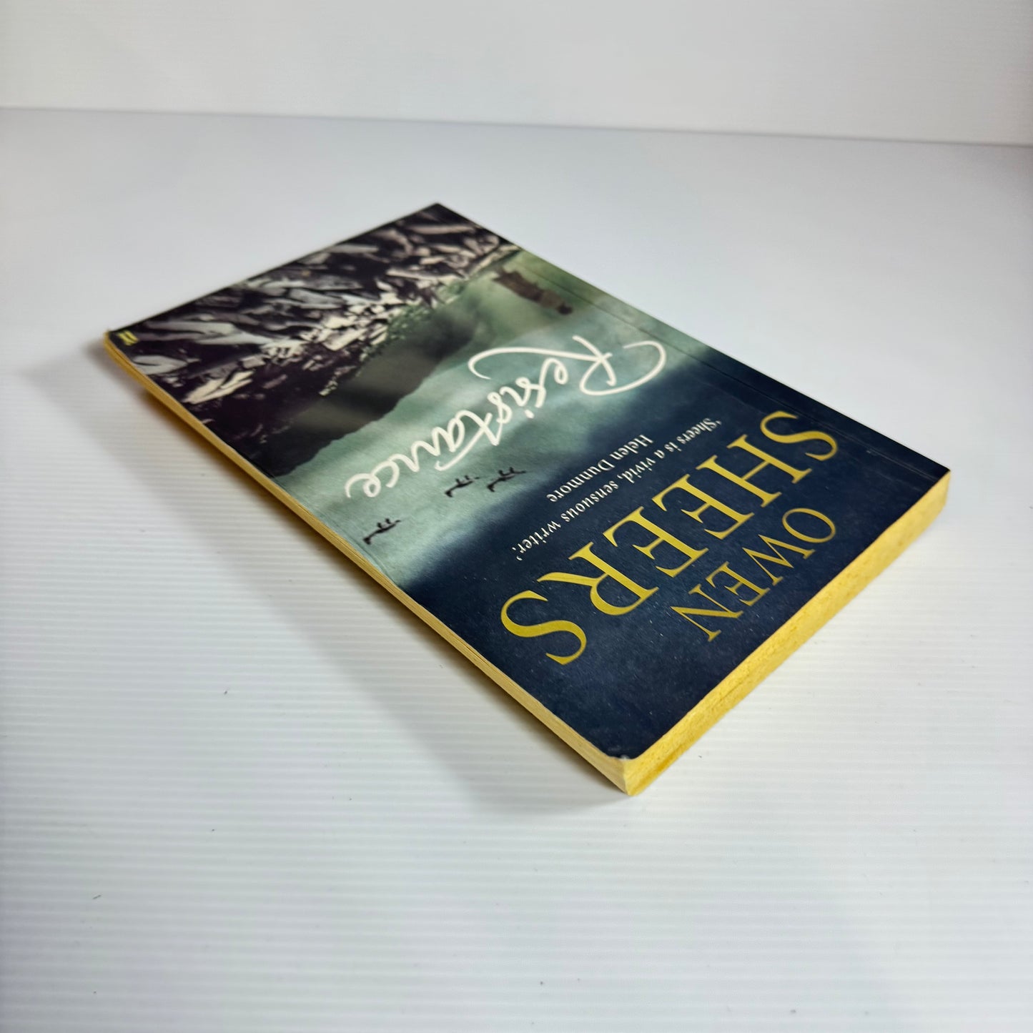Resistance - Owen Sheers