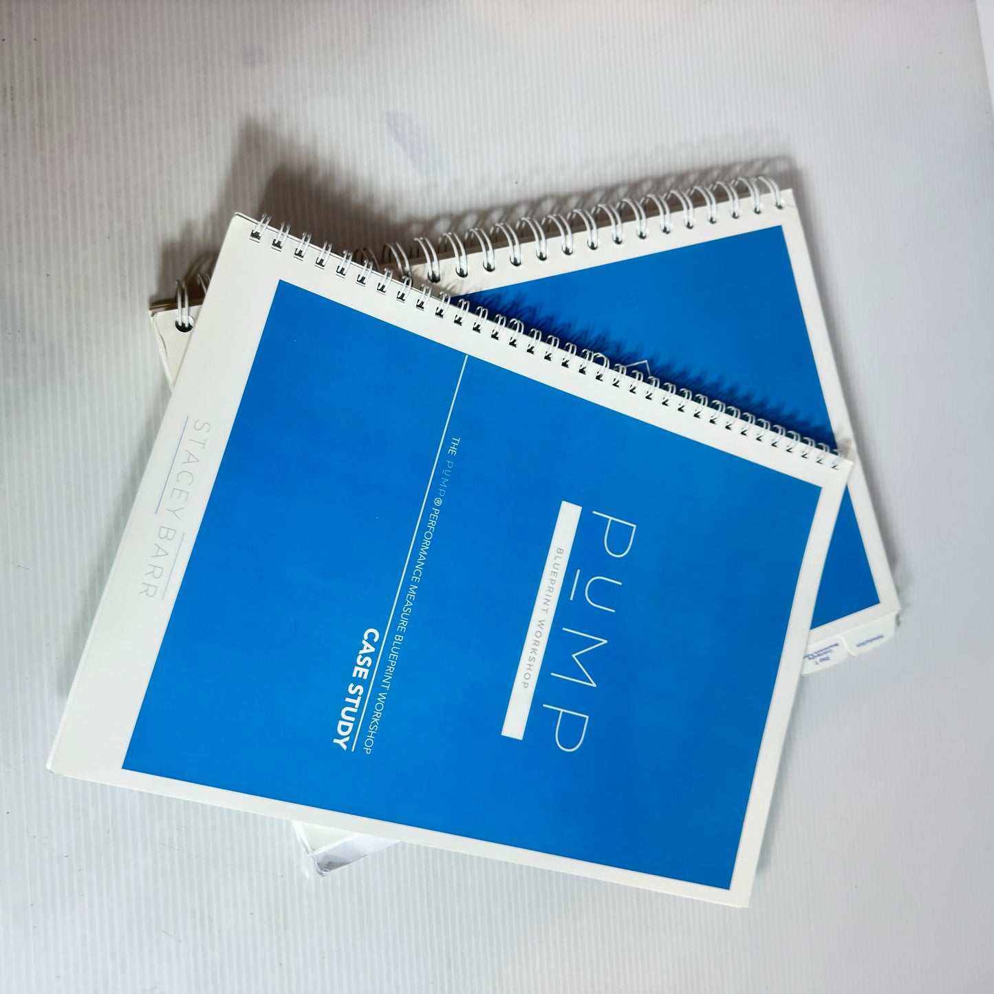 The PUMP Performance Measure Bluebprint Workshop Workbook & Case Study - Stacey Barr(2502)