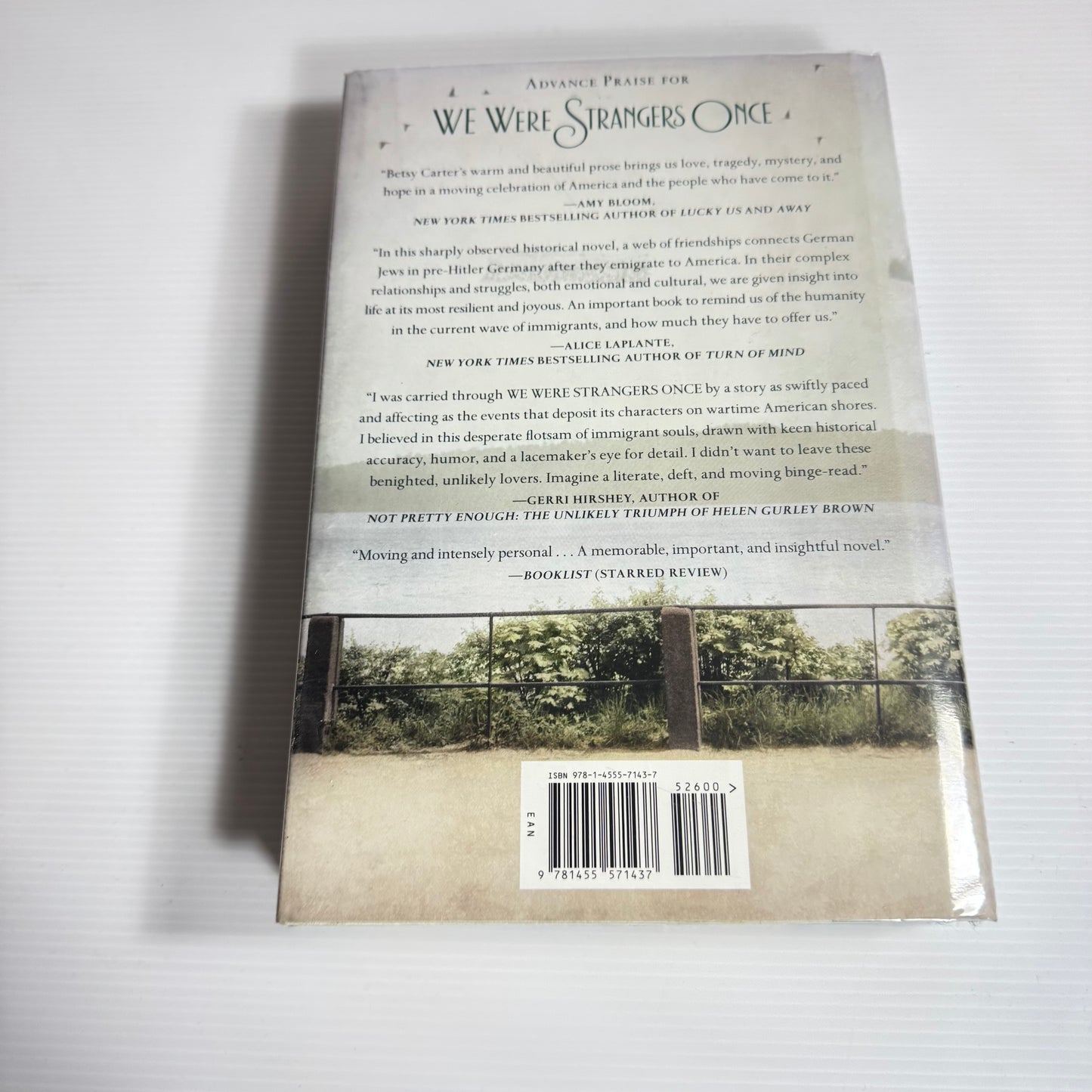We Were Strangers Once - Betsy Carter