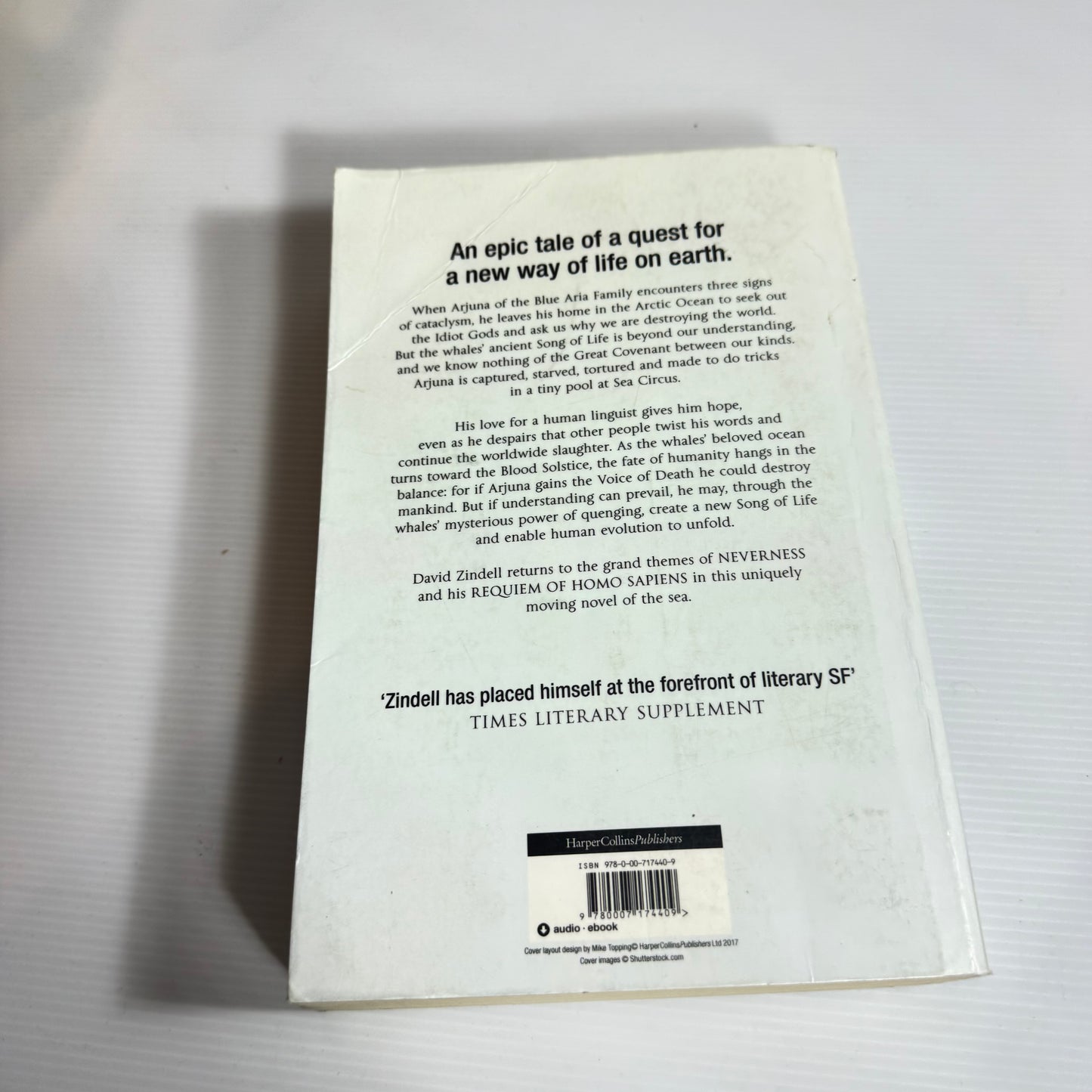 The Idiot Gods - David Zindell