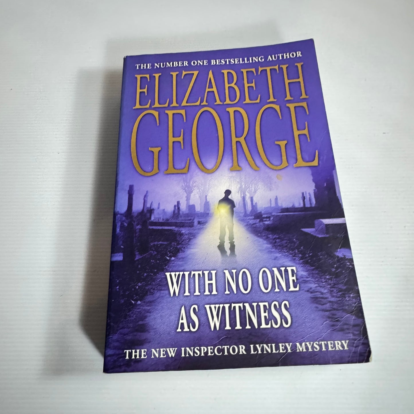 With No One As Witness - Elizabeth George