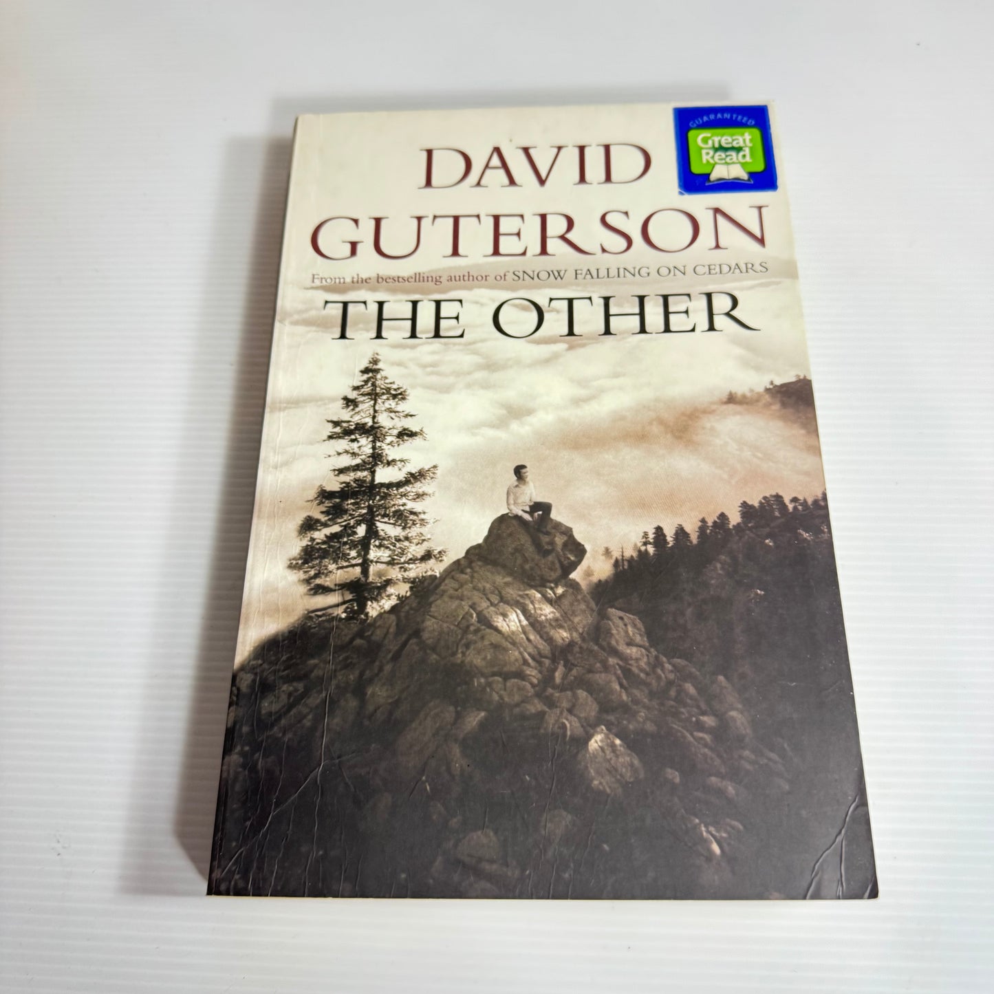 The Other - David Guterson