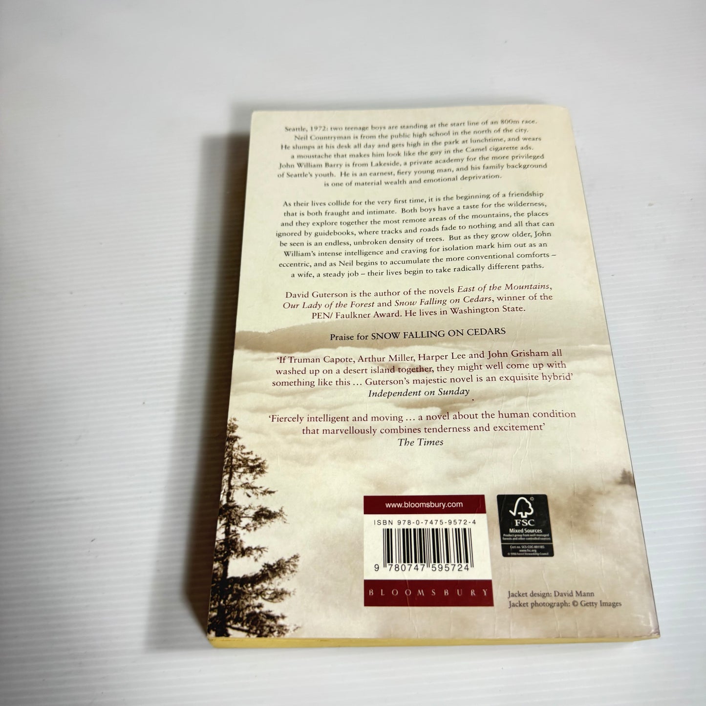 The Other - David Guterson