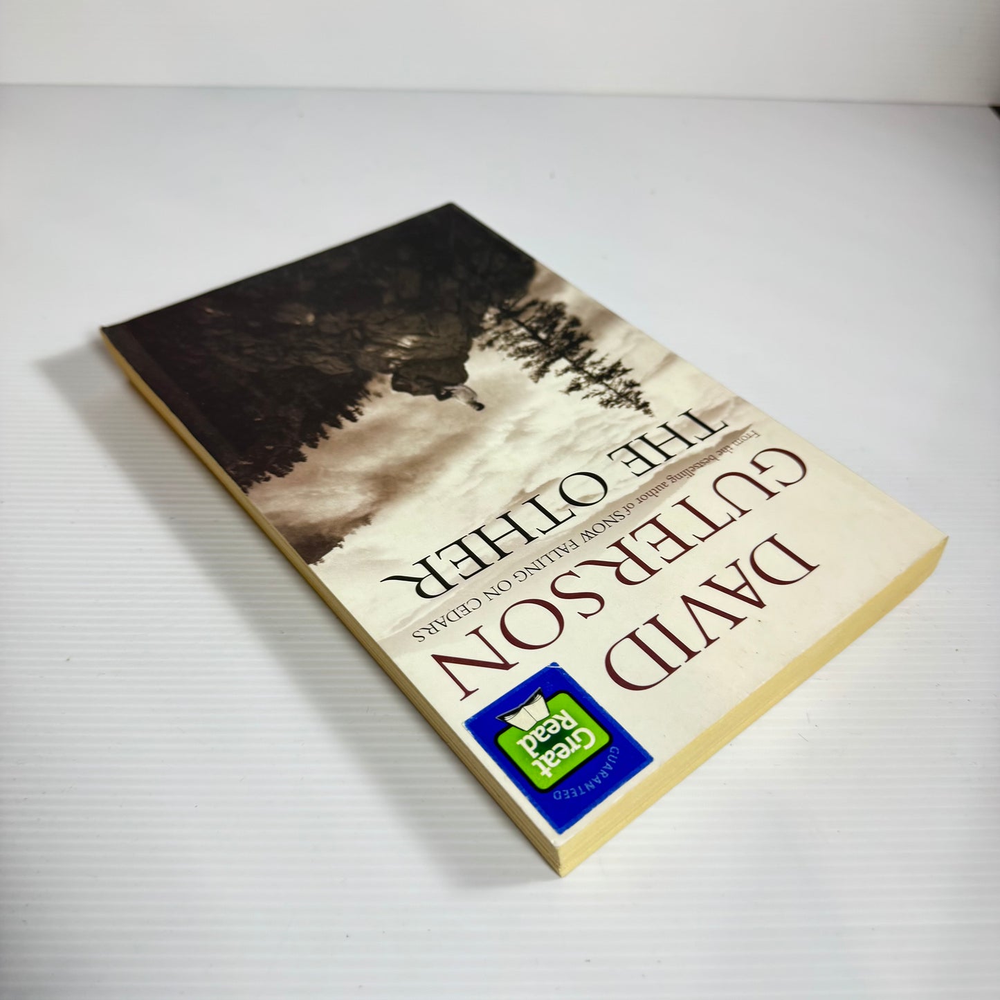 The Other - David Guterson