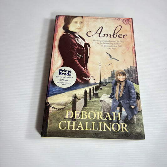Amber - Deborah Challinor