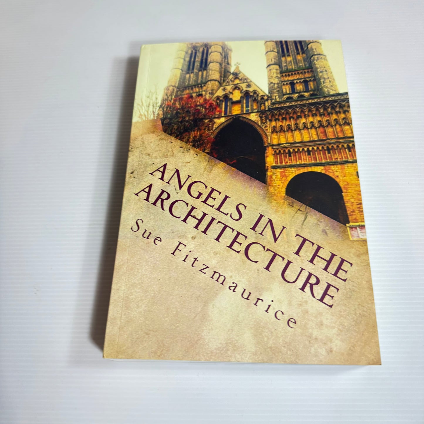 Angels In The Architecture - Sue Fitzmaurice