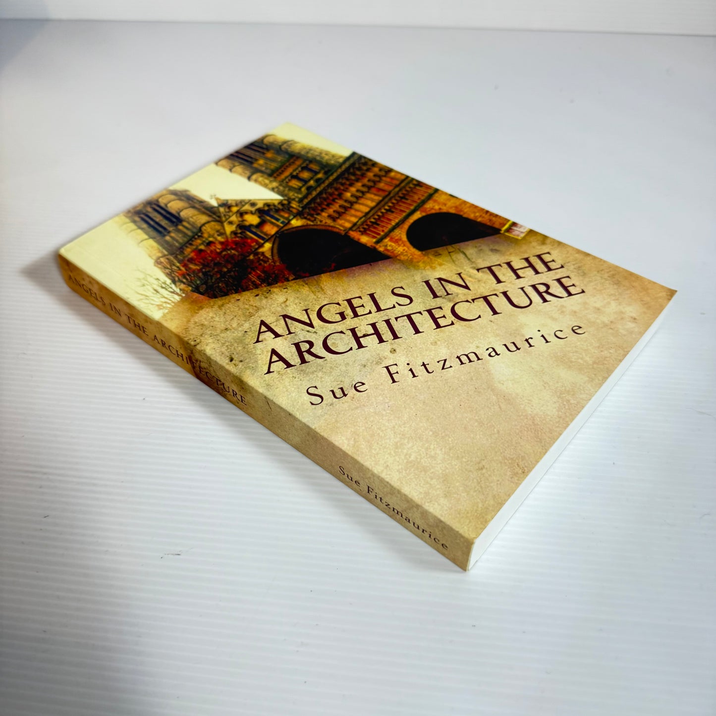Angels In The Architecture - Sue Fitzmaurice