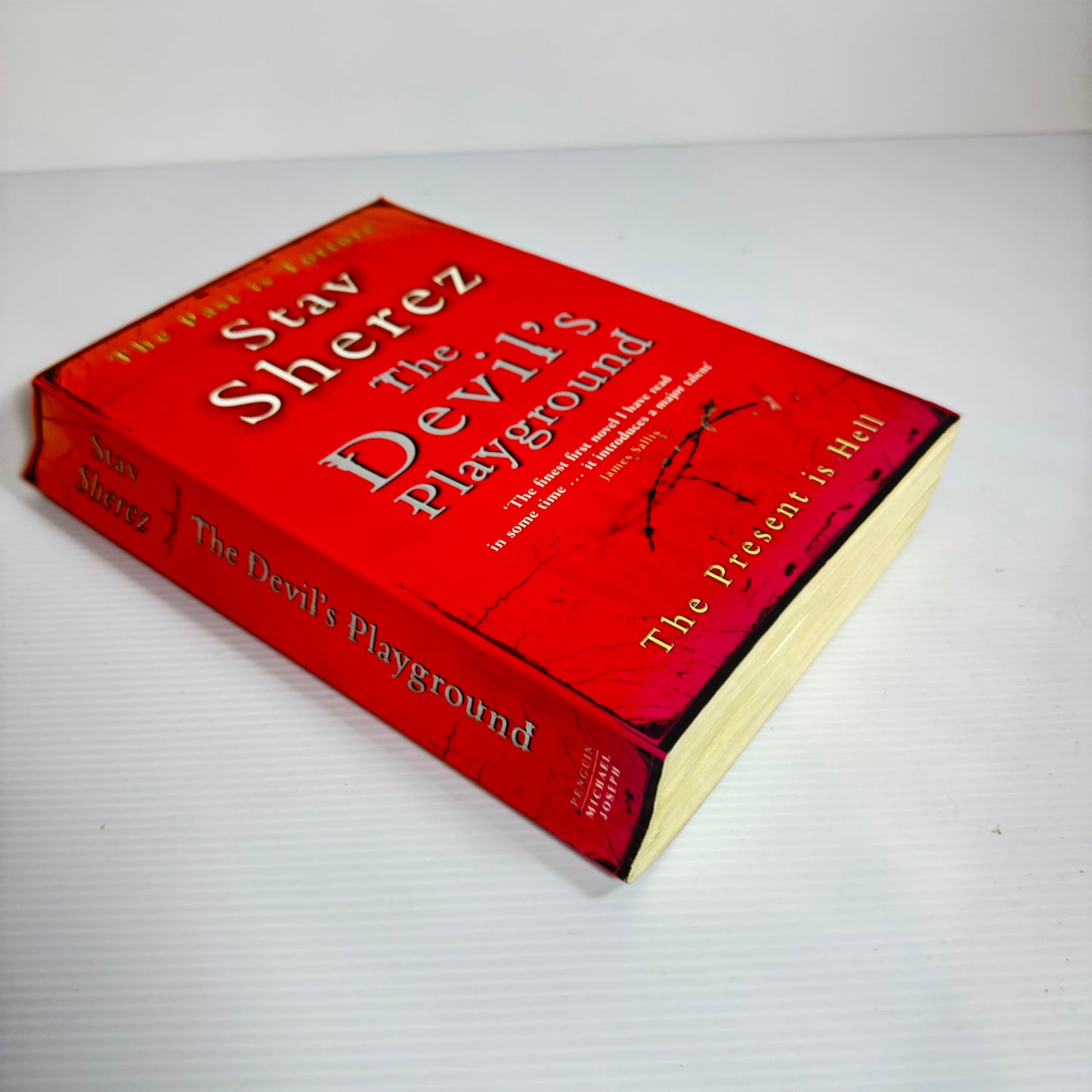 The Devil's Playground - Stav Sherez