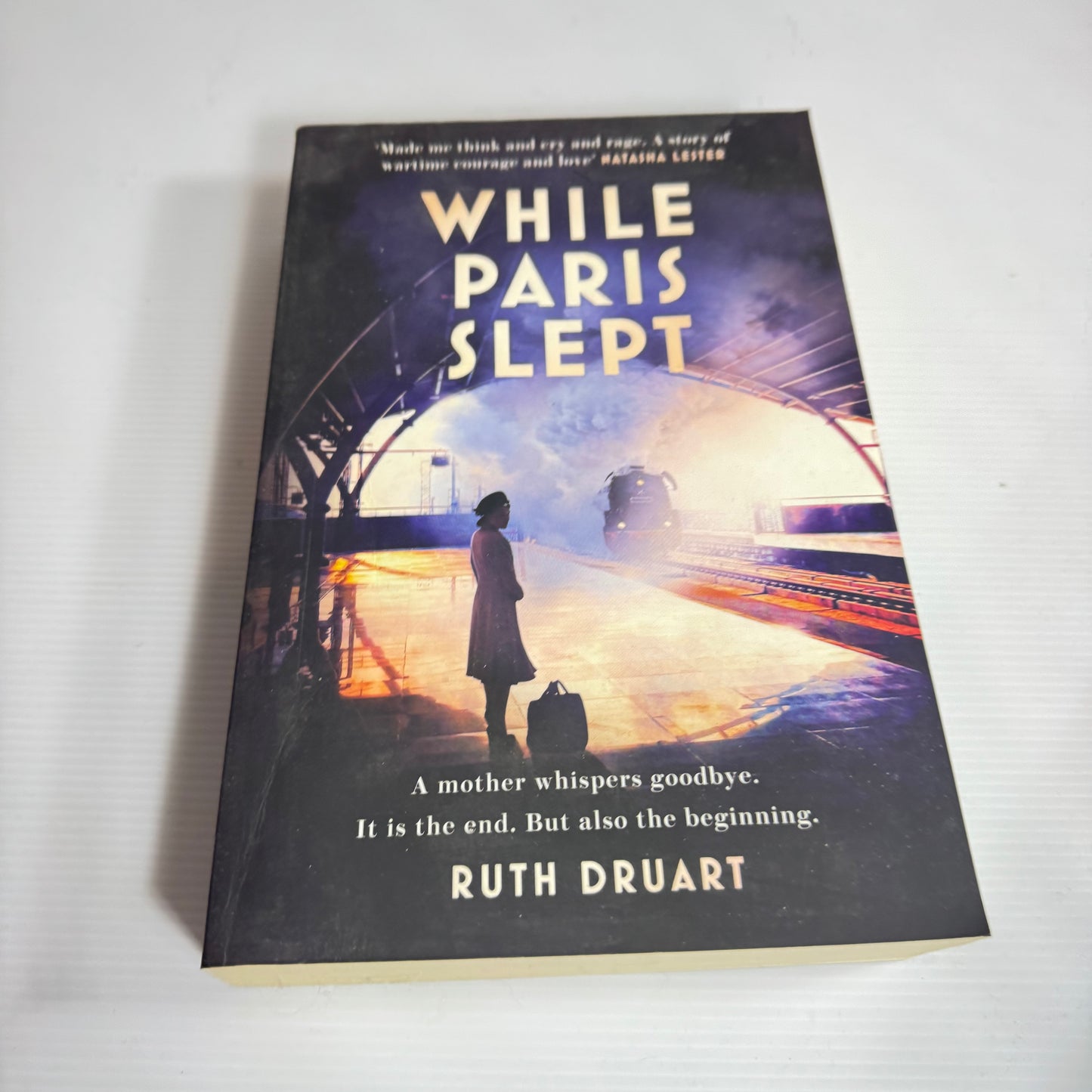 While Paris Slept - Ruth Druart