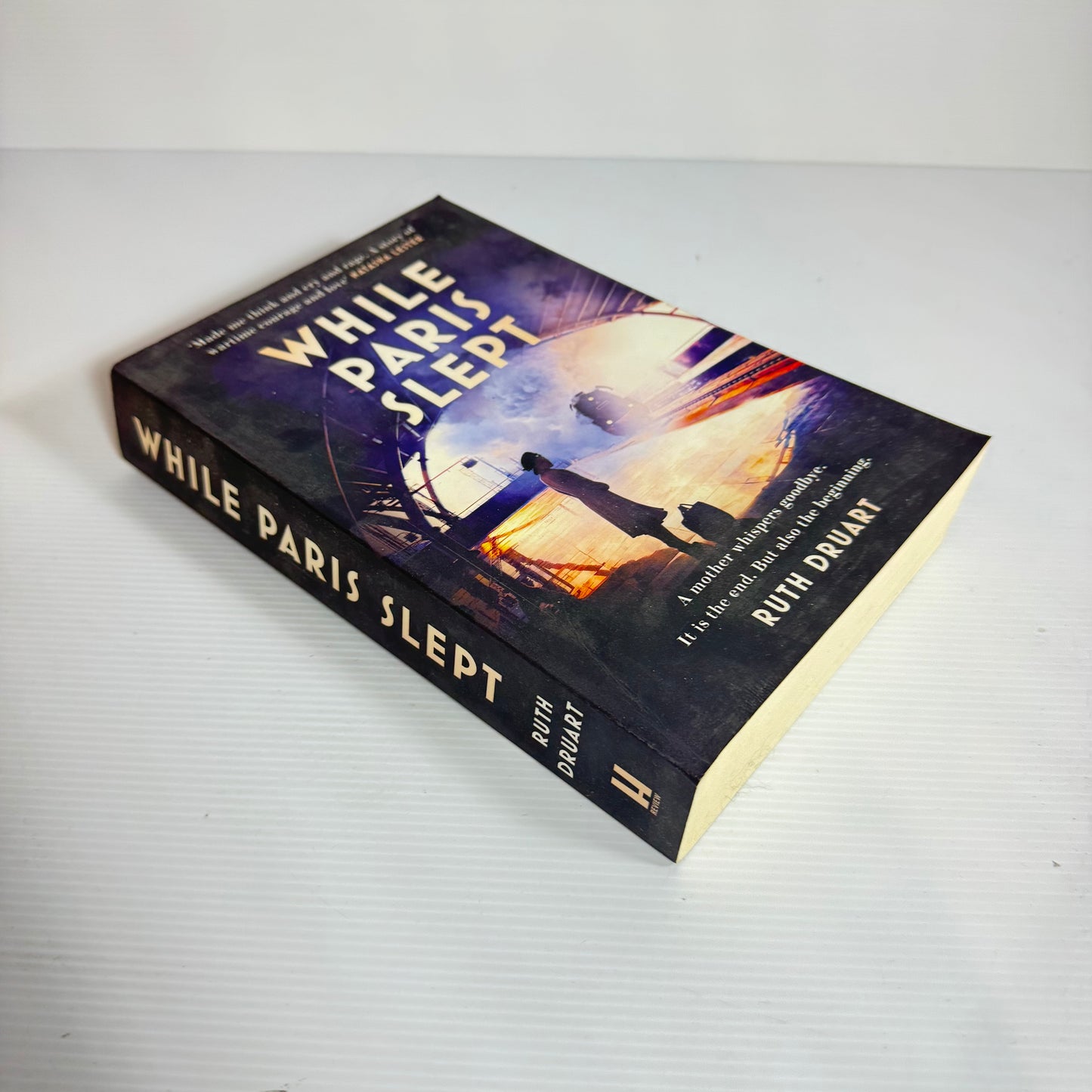 While Paris Slept - Ruth Druart