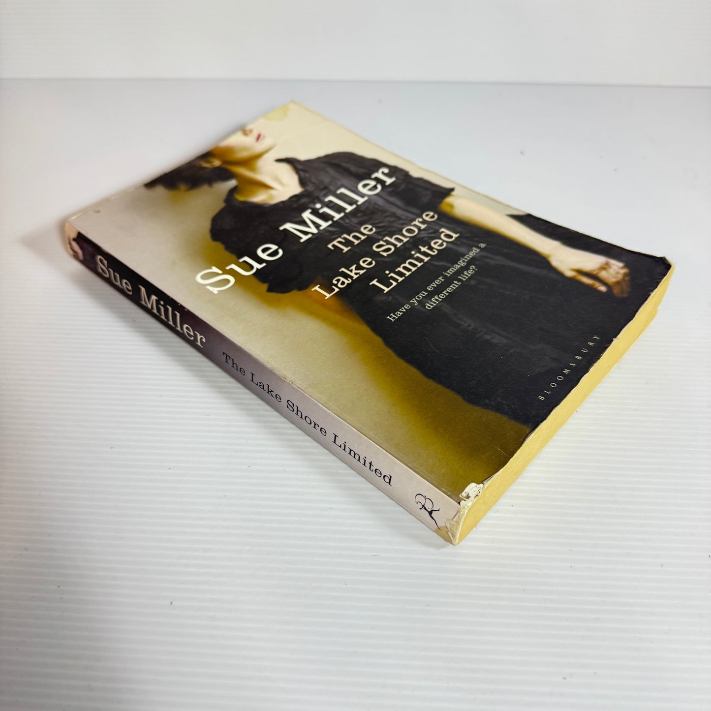 The Lake Shore Limited - Sue Miller