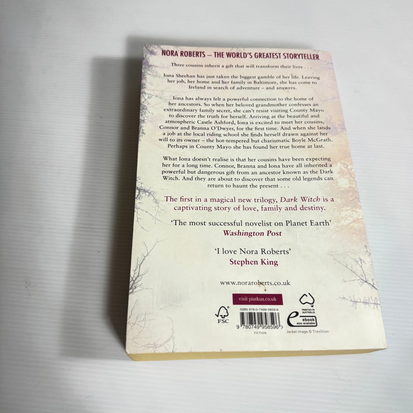 Dark Witch : Book One of the Cousins O'Dwyer Triology - Nora Roberts