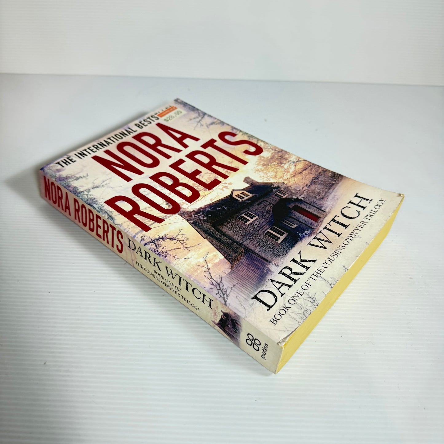 Dark Witch : Book One of the Cousins O'Dwyer Triology - Nora Roberts