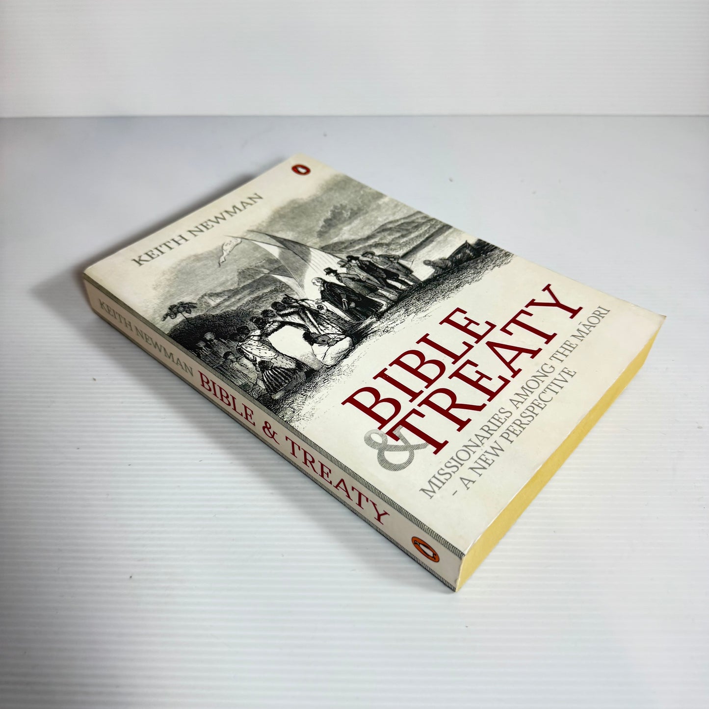 Bible & Treaty : Missionaries Among The Māori - A New Perspective - Keith Newman