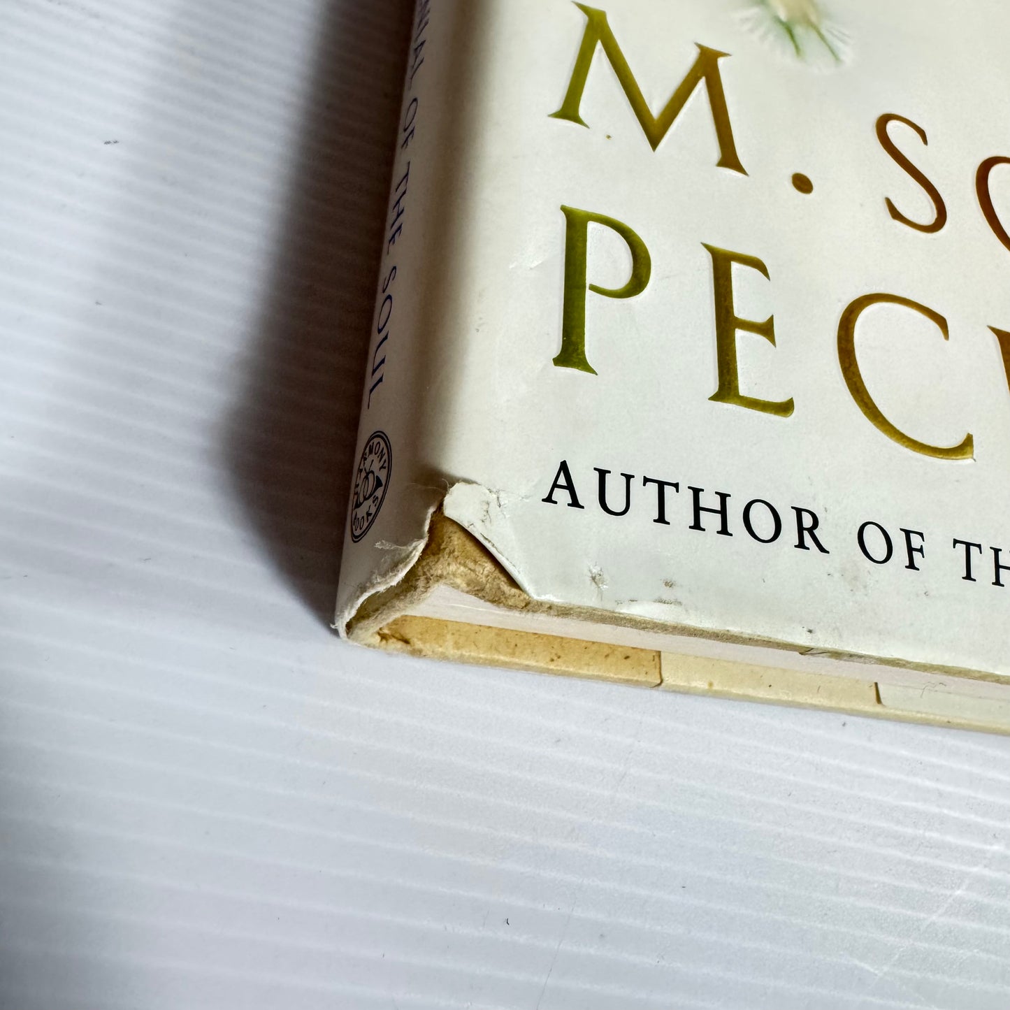 Denial Of the Soul : Spiritual and Medical Perspectives on Euthanasia and Mortality - M. Scott Peck, M.D.