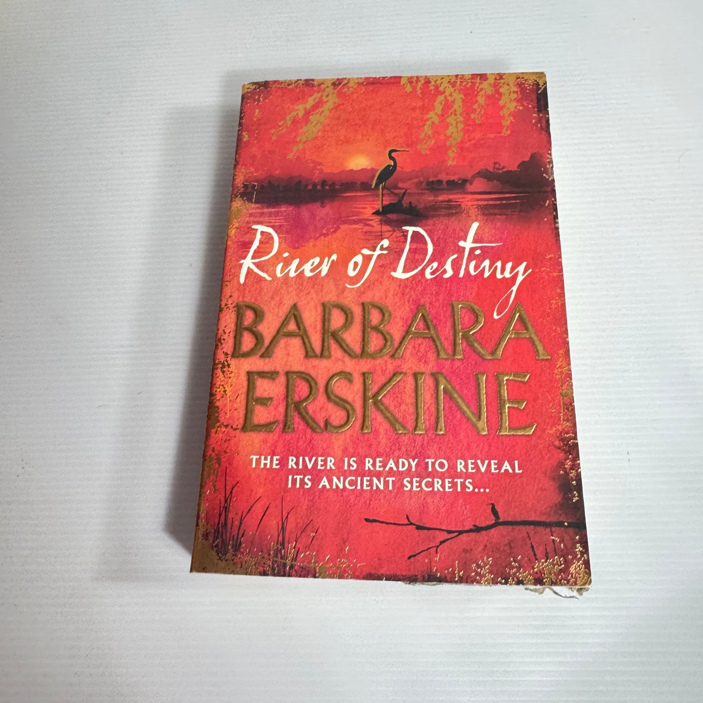 River of Destiny - Barbara Erskine