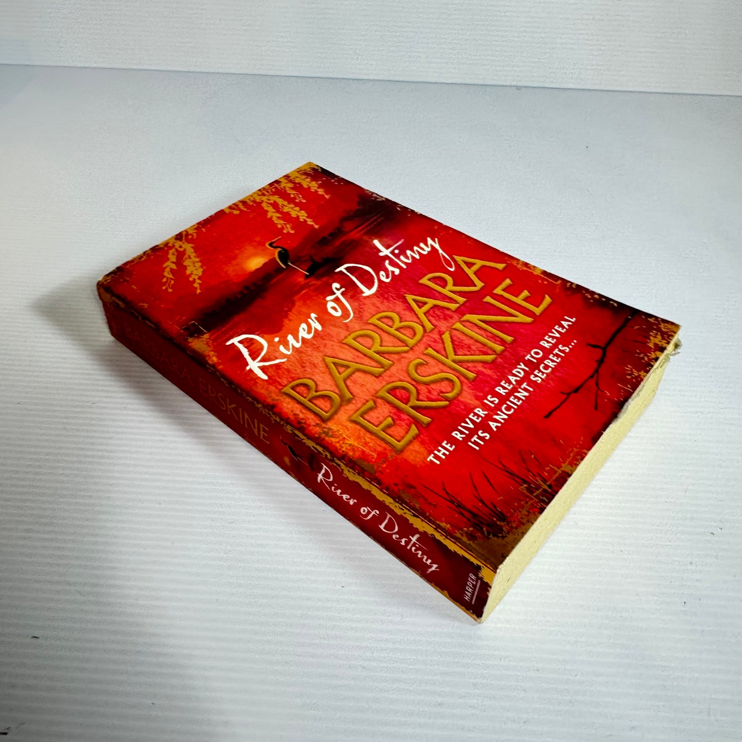 River of Destiny - Barbara Erskine