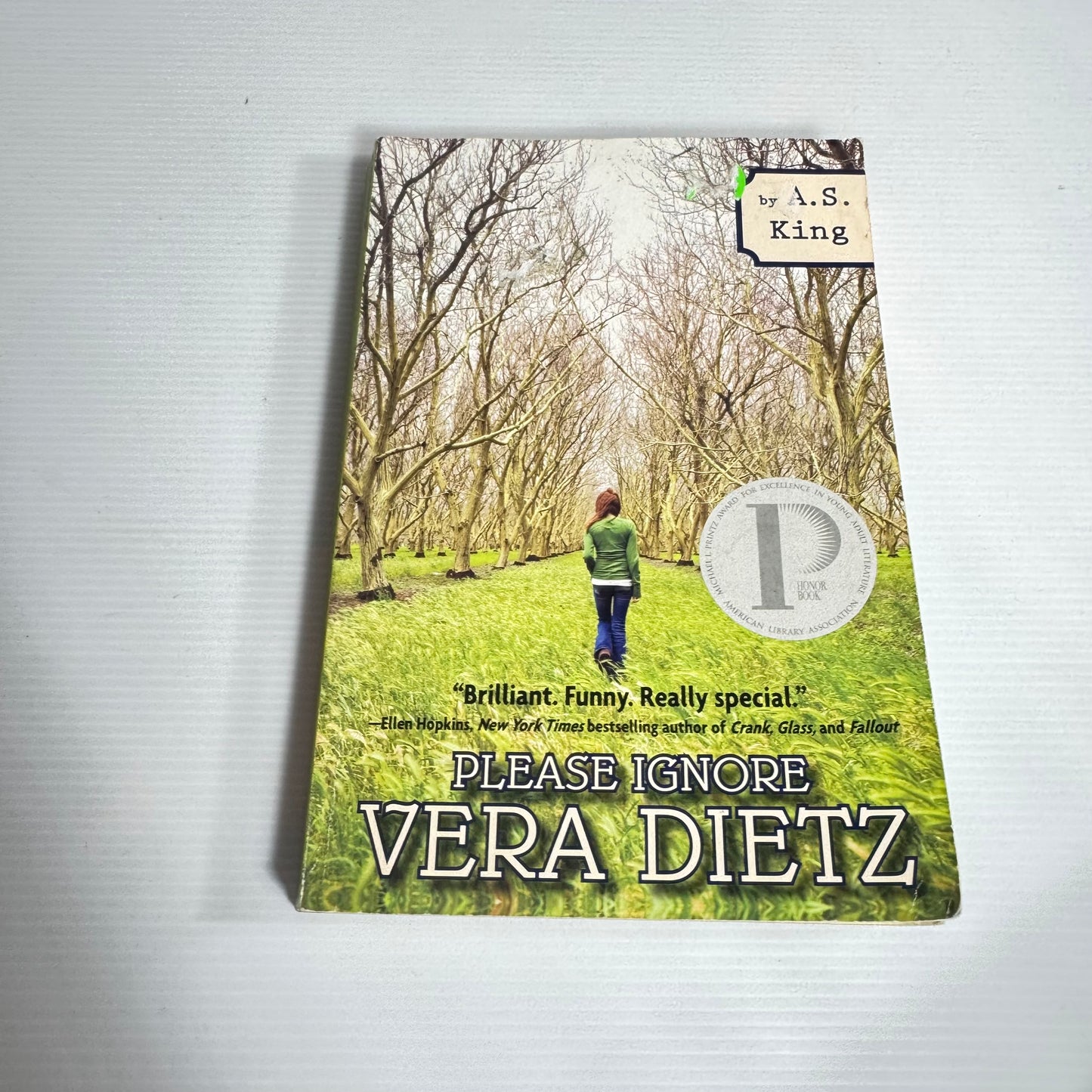 Please Ignore - Vera Dietz
