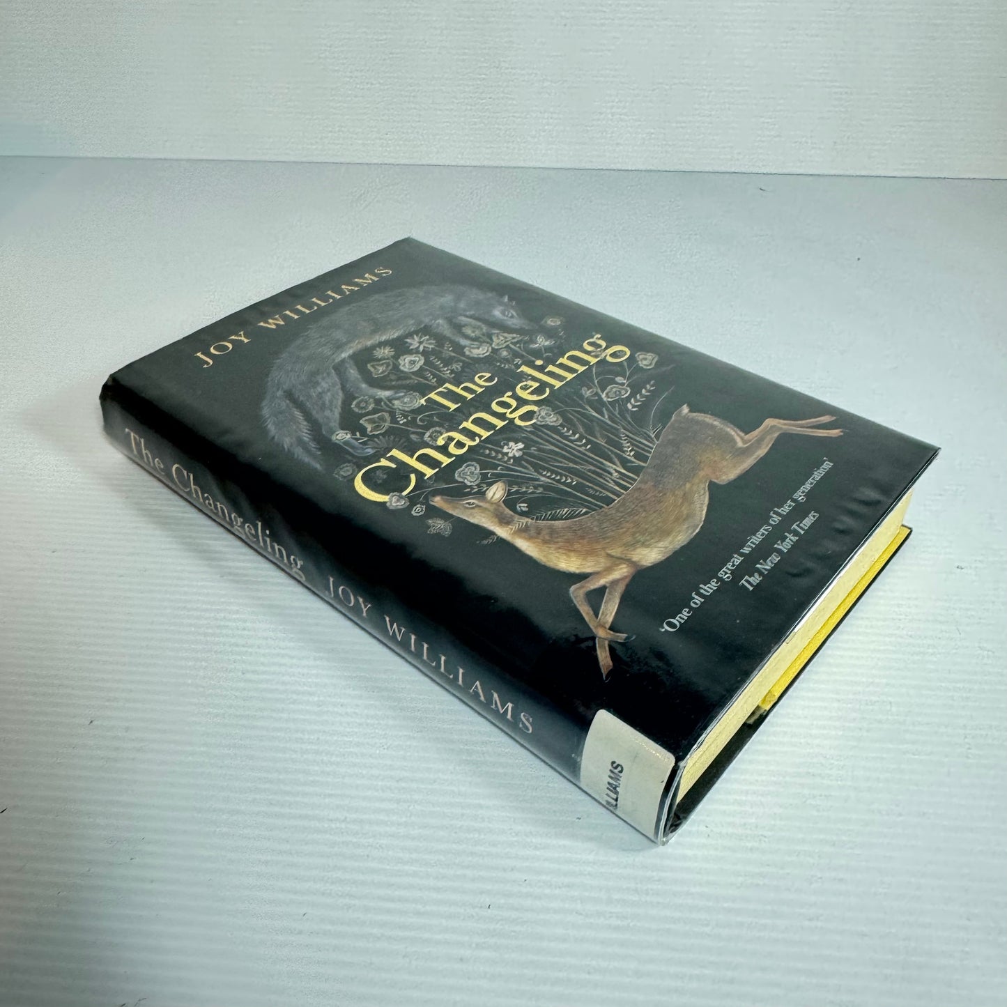 The Changeling - Joy Williams